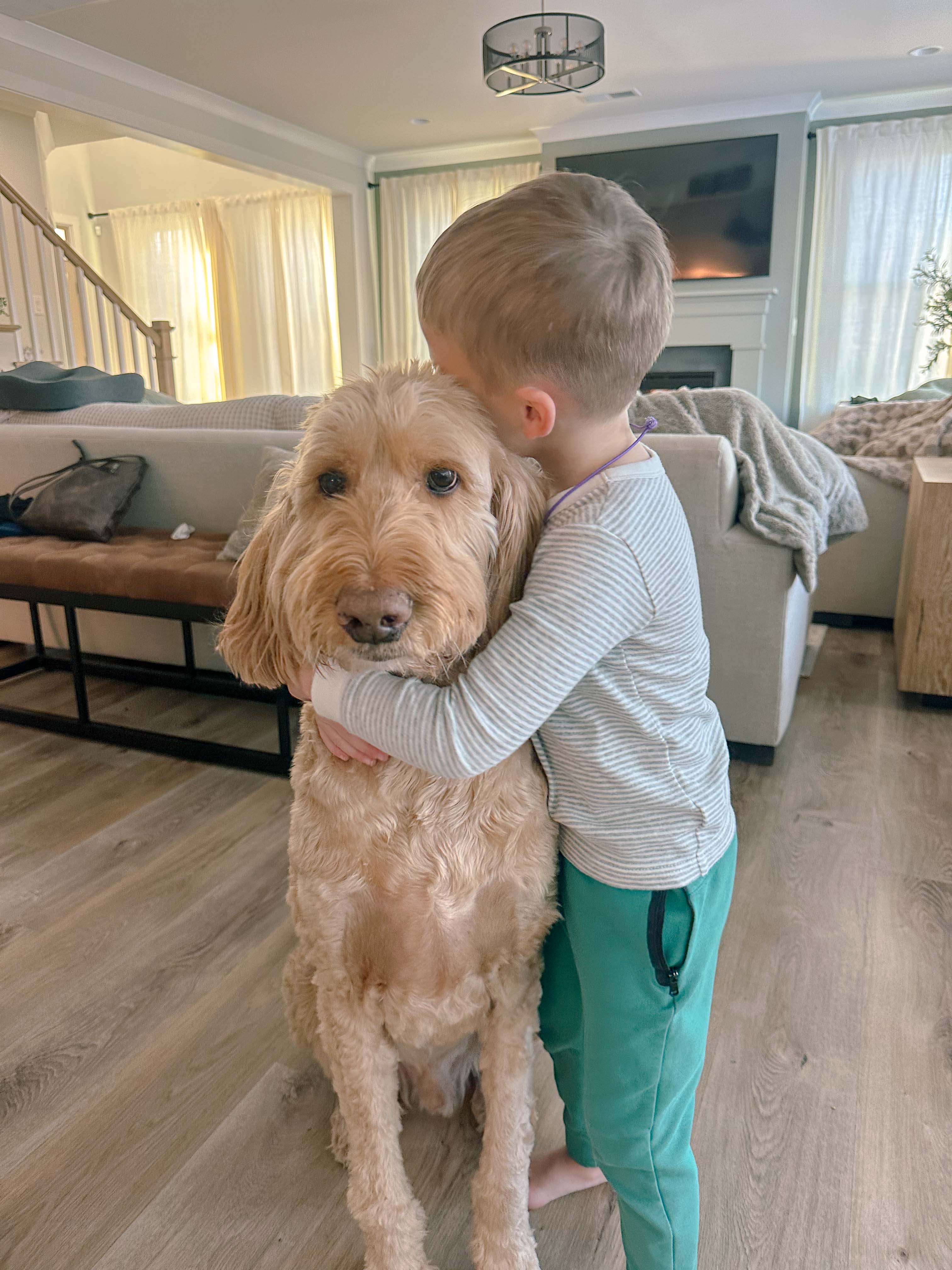 motherhood recap blog, lifestyle, mom life, toddler mom, south carolina, fort mill, swiss cheese, sherry chicken, healthy food, poppyseed kitchen, swim lessons, dinner ideas, motherhood, pregnancy, maternity, sourdough, birthday, cake, birds, food, snacks, snow day, snowing, tea, life