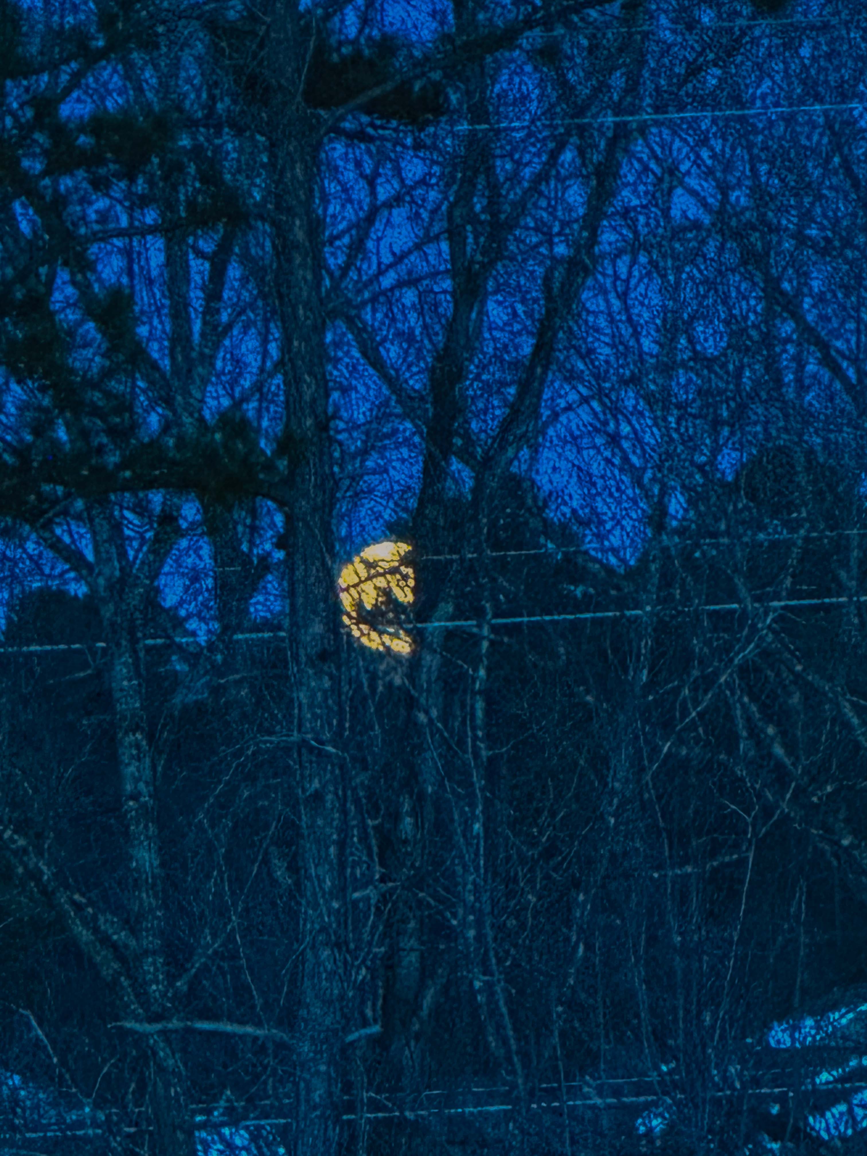 motherhood recap blog, lifestyle, mom life, toddler mom, south carolina, fort mill, swiss cheese, sherry chicken, healthy food, poppyseed kitchen, swim lessons, dinner ideas, motherhood, pregnancy, maternity, sourdough, birthday, cake, birds, food, snacks, snow day, snowing, tea, life