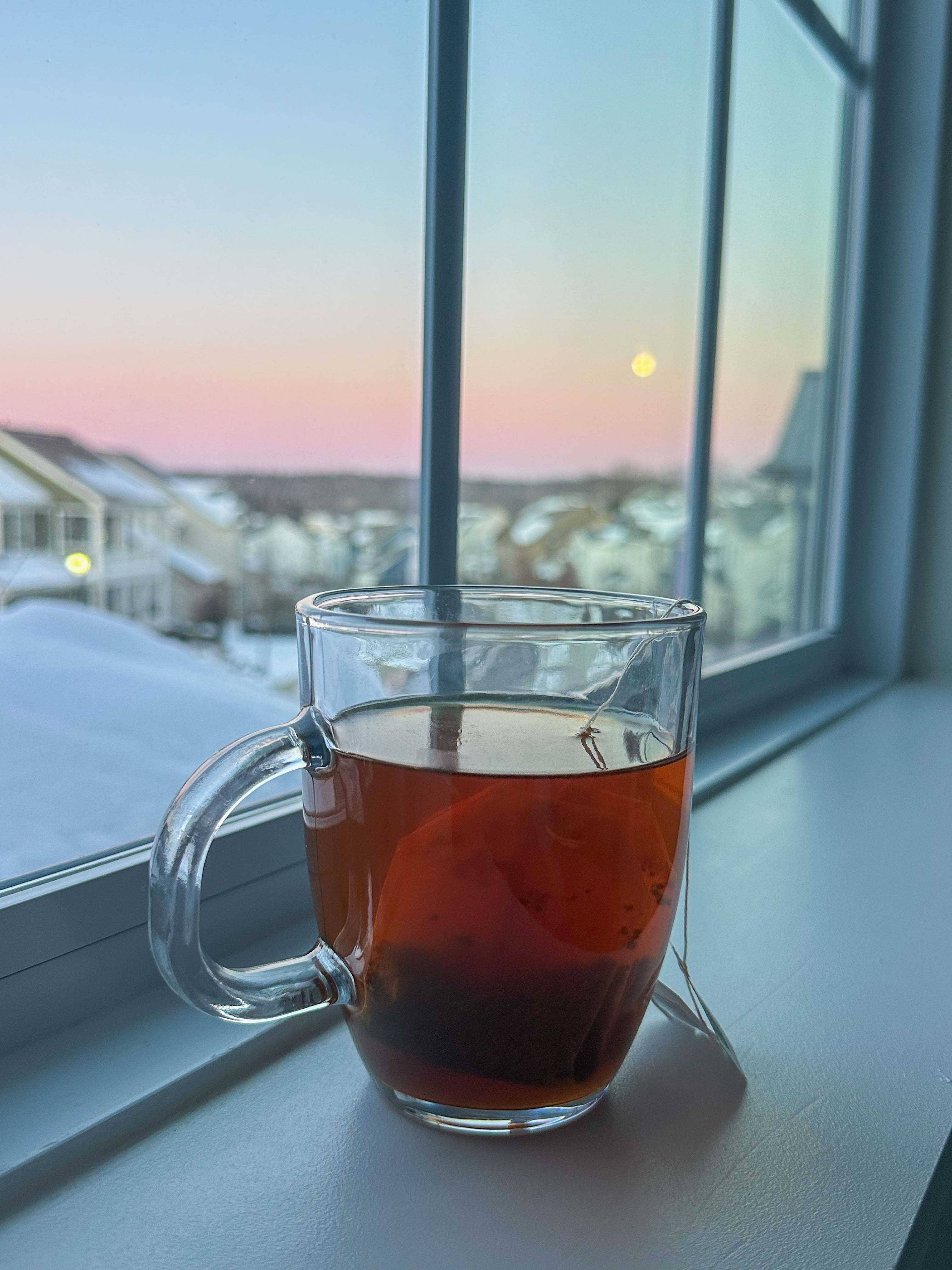 motherhood recap blog, lifestyle, mom life, toddler mom, south carolina, fort mill, swiss cheese, sherry chicken, healthy food, poppyseed kitchen, swim lessons, dinner ideas, motherhood, pregnancy, maternity, sourdough, birthday, cake, birds, food, snacks, snow day, snowing, tea, life