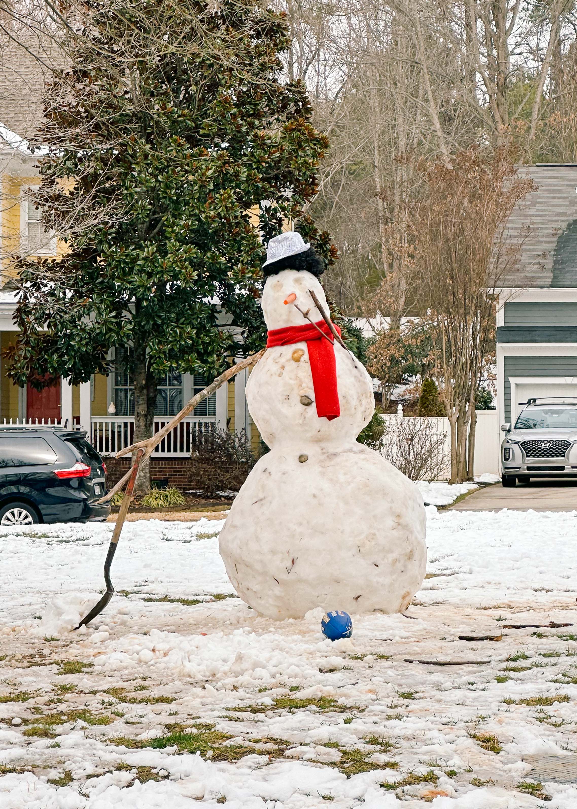 motherhood recap blog, lifestyle, mom life, toddler mom, south carolina, fort mill, swiss cheese, sherry chicken, healthy food, poppyseed kitchen, swim lessons, dinner ideas, motherhood, pregnancy, maternity, sourdough, birthday, cake, birds, food, snacks, snow day, snowing, tea, life