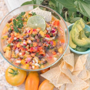 salsa recipe, tomatoes, salsa, peach, black bean, sweet, onions, healthy recipe, vegan, gluten free, vegetarian, farm fresh, farm to table, easy garden recipes, peppers, onions, garlic