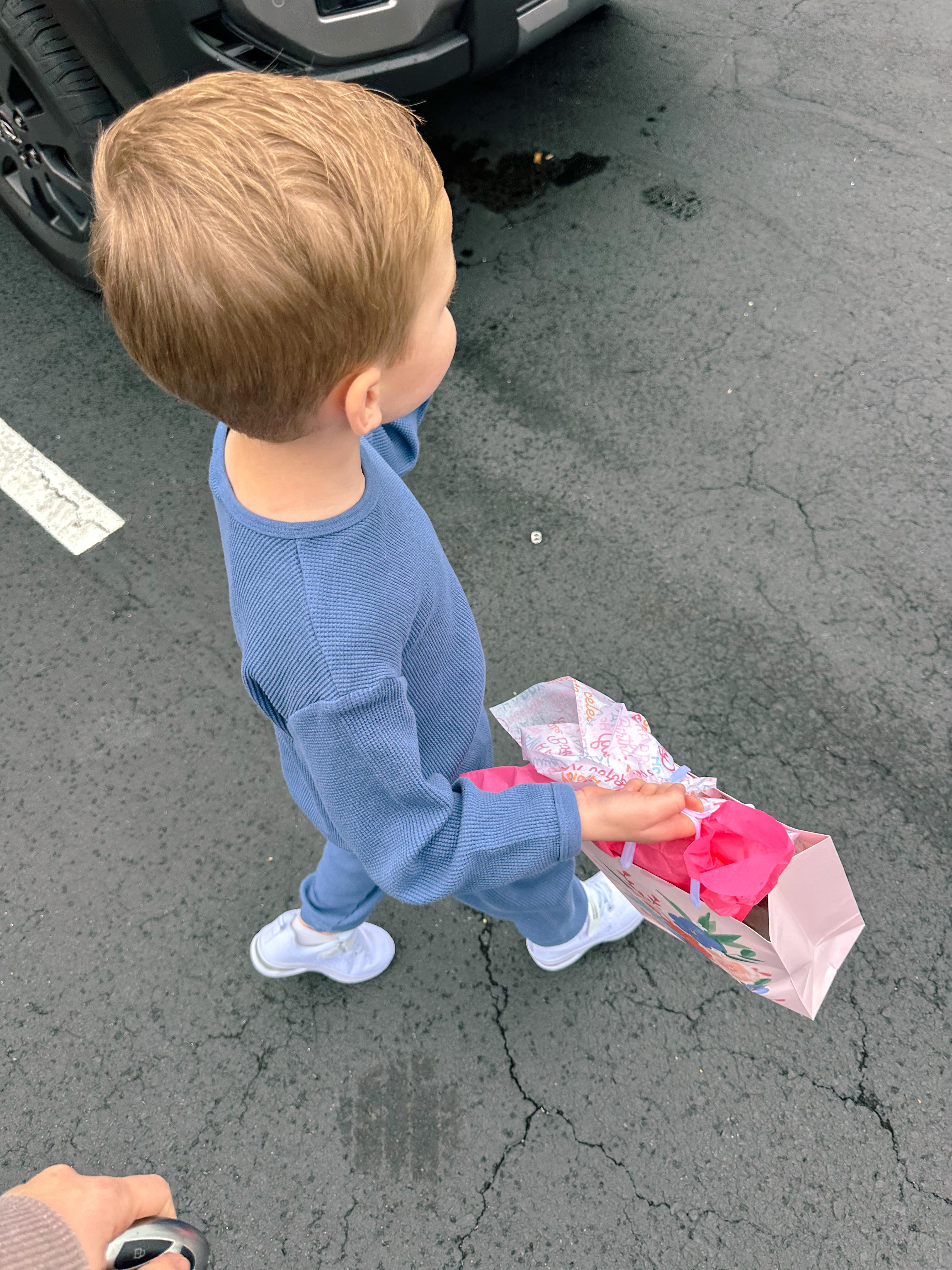 lifestyle blog, simply taralynn, bird buddy, toddler mom, newborn, mom blog, day in the life, food, recipes, newborn, boy mom, coffee, fort mill, sourdough, life, bush n vine, farms, york sc, coffee shops, rock hill, charlotte, mommy blogger, spring, healthy food