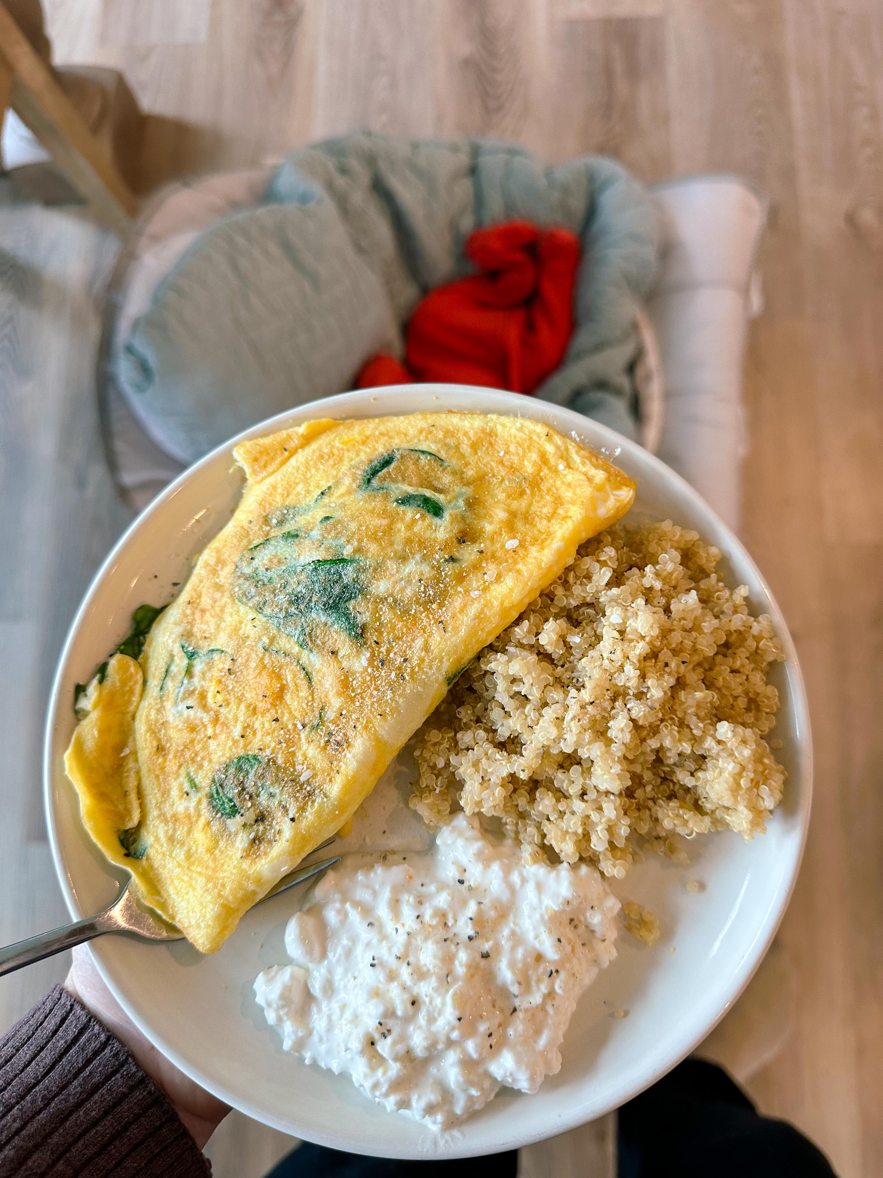 lifestyle blog, simply taralynn, bird buddy, toddler mom, newborn, mom blog, day in the life, food, recipes, newborn, boy mom, coffee, fort mill, sourdough, life, bush n vine, farms, york sc, coffee shops, rock hill, charlotte, mommy blogger, spring, healthy food