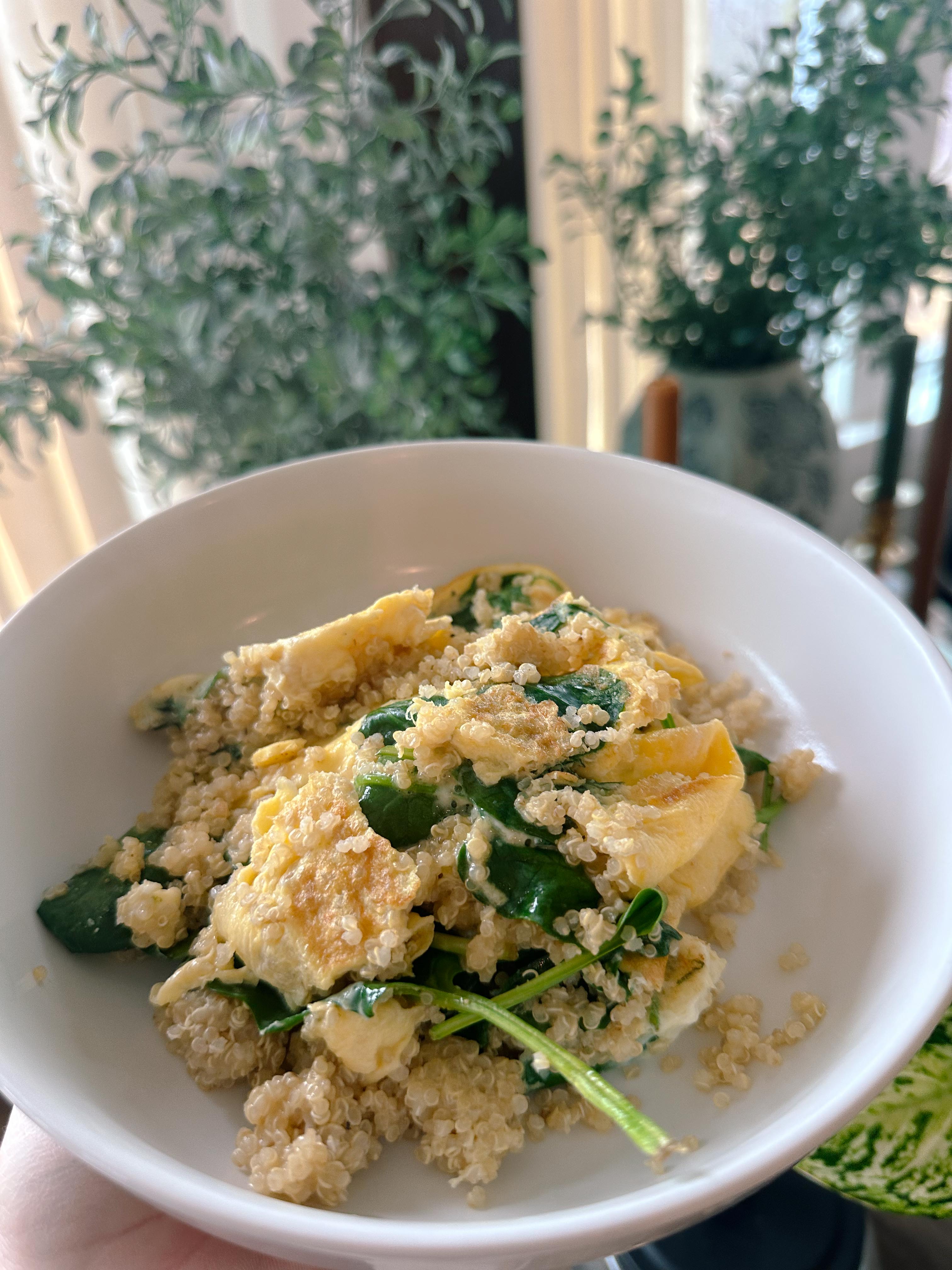 lifestyle blog, simply taralynn, bird buddy, toddler mom, newborn, mom blog, day in the life, food, recipes, newborn, boy mom, coffee, fort mill, sourdough, life, bush n vine, farms, york sc, coffee shops, rock hill, charlotte, mommy blogger, spring, healthy food