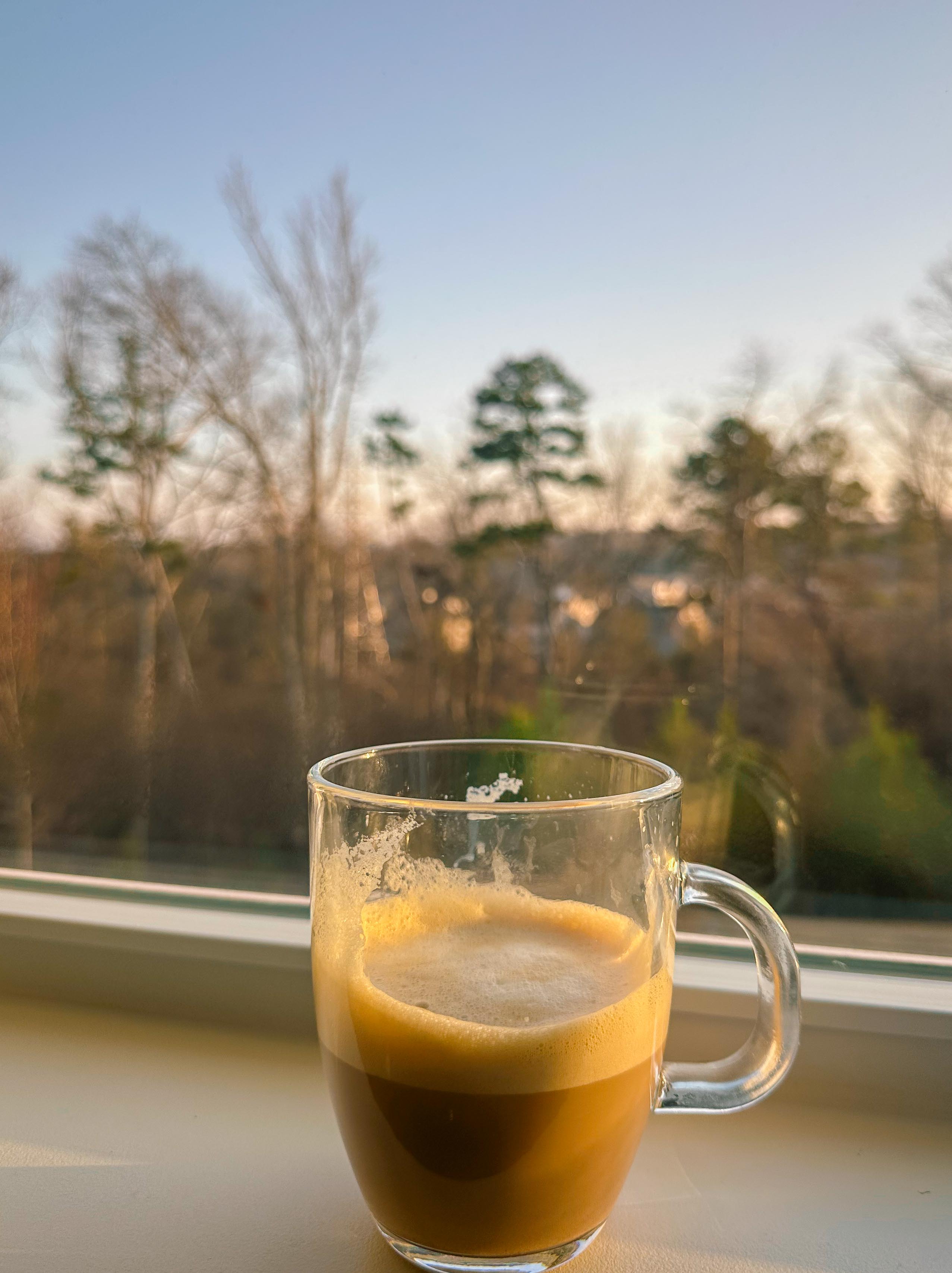 lifestyle blog, simply taralynn, bird buddy, toddler mom, newborn, mom blog, day in the life, food, recipes, newborn, boy mom, coffee, fort mill, sourdough, life, bush n vine, farms, york sc, coffee shops, rock hill, charlotte, mommy blogger, spring, healthy food