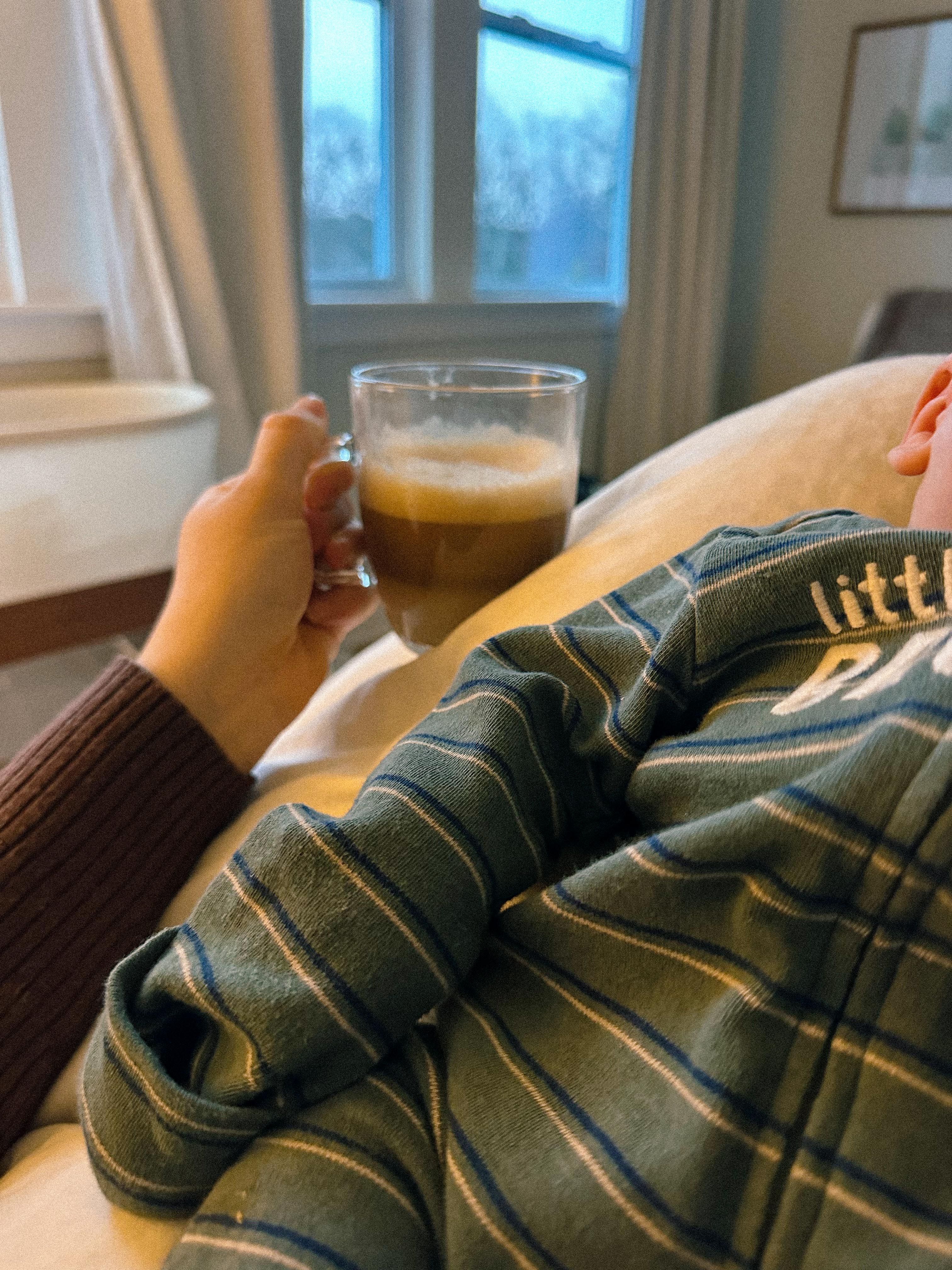 lifestyle blog, simply taralynn, bird buddy, toddler mom, newborn, mom blog, day in the life, food, recipes, newborn, boy mom, coffee, fort mill, sourdough, life, bush n vine, farms, york sc, coffee shops, rock hill, charlotte, mommy blogger, spring, healthy food