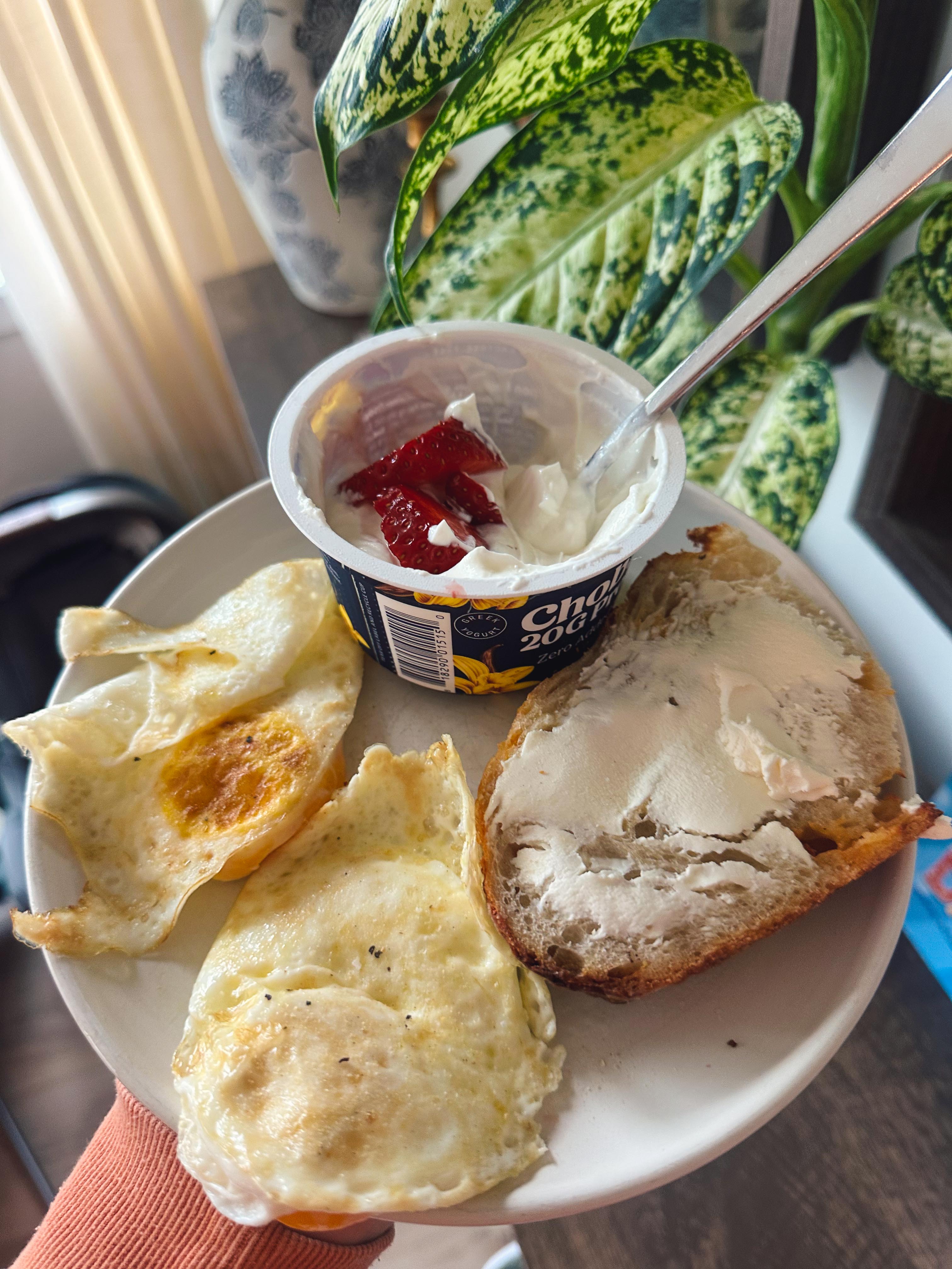 lifestyle blog, simply taralynn, bird buddy, toddler mom, newborn, mom blog, day in the life, food, recipes, newborn, boy mom, coffee, fort mill, sourdough, life, bush n vine, farms, york sc, coffee shops, rock hill, charlotte, mommy blogger, spring, healthy food