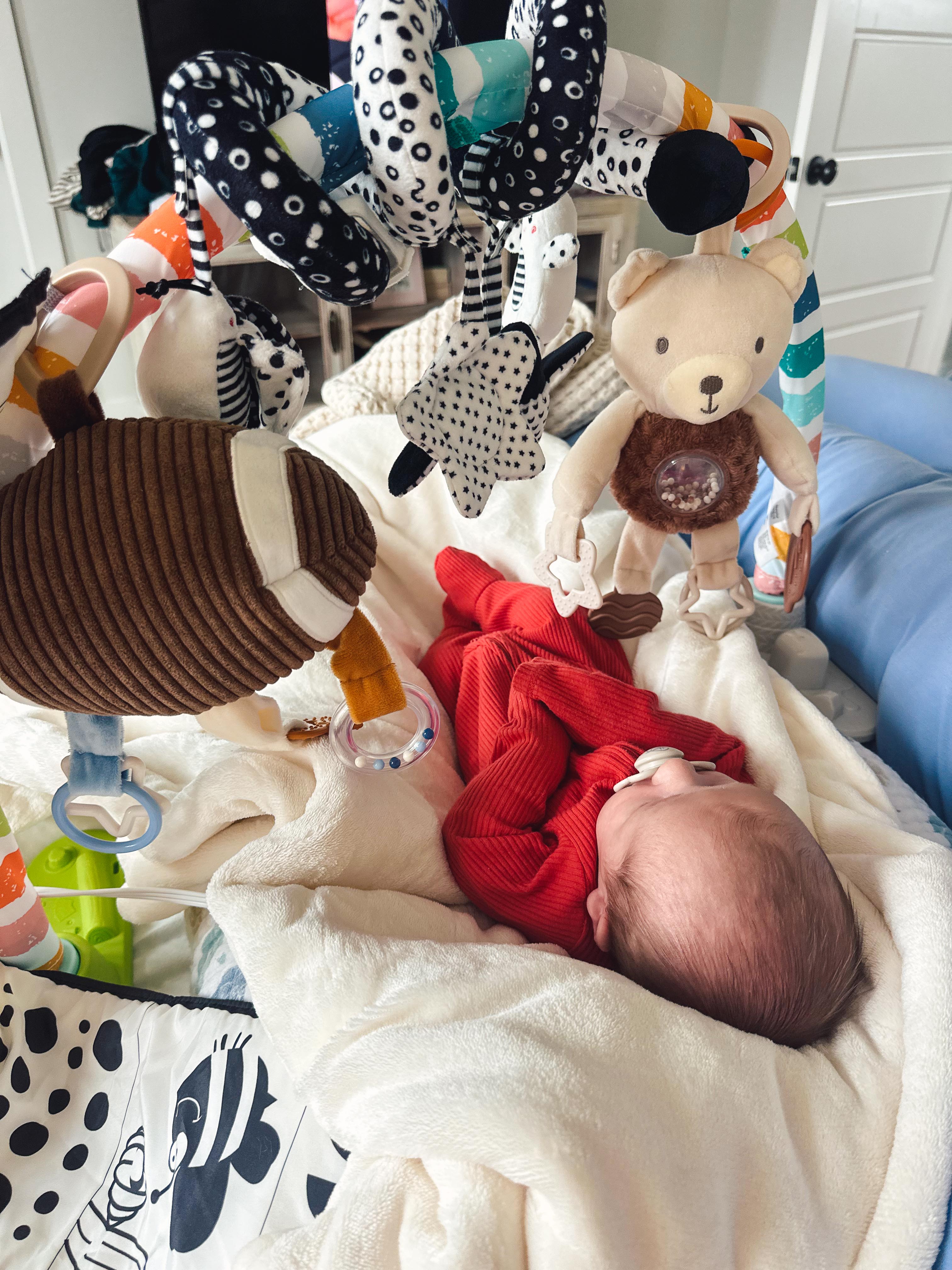 lifestyle blog, simply taralynn, bird buddy, toddler mom, newborn, mom blog, day in the life, food, recipes, newborn, boy mom, coffee, fort mill, sourdough, life, bush n vine, farms, york sc, coffee shops, rock hill, charlotte, mommy blogger, spring, healthy food