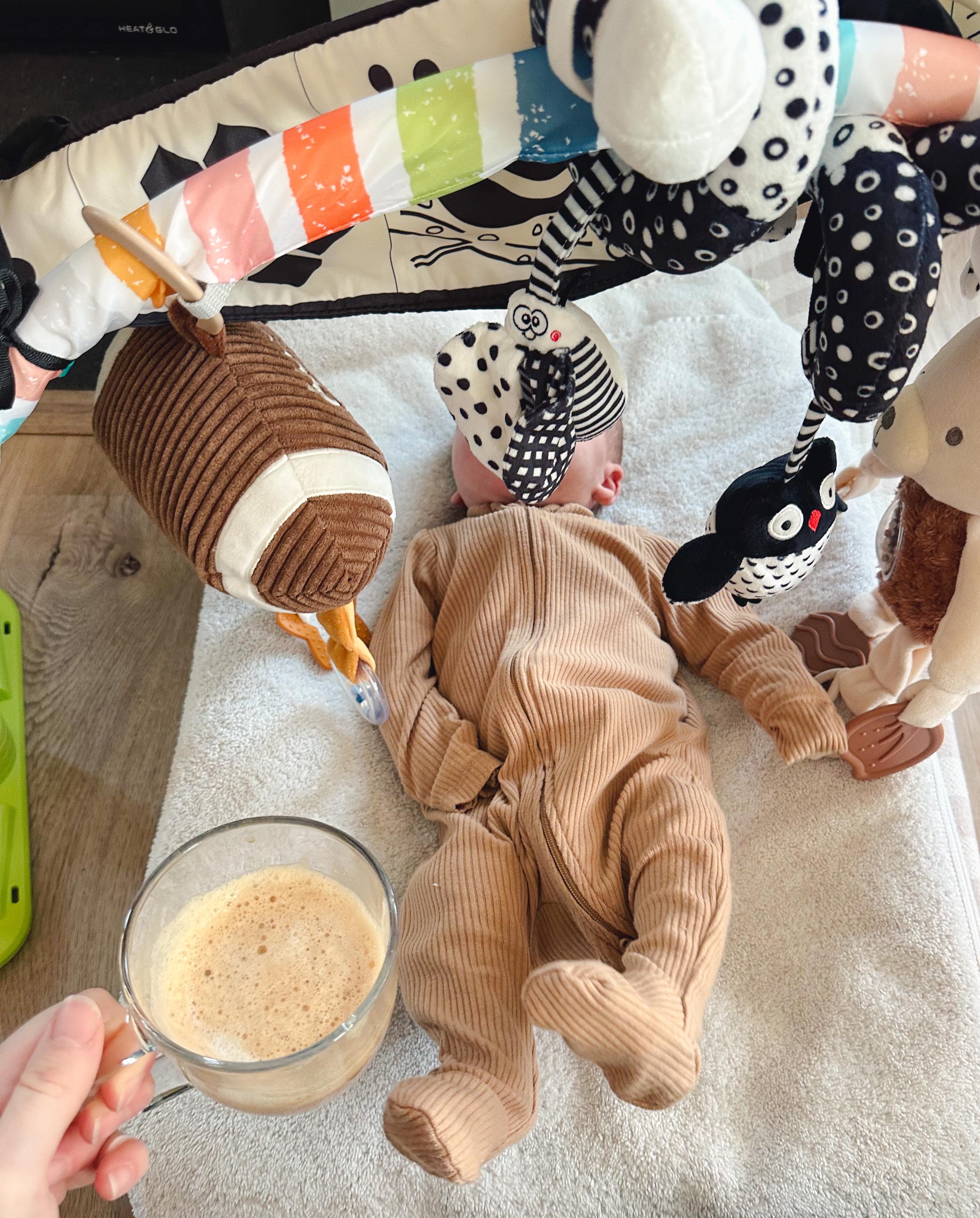 lifestyle blog, simply taralynn, bird buddy, toddler mom, newborn, mom blog, day in the life, food, recipes, newborn, boy mom, coffee, fort mill, sourdough, life, bush n vine, farms, york sc, coffee shops, rock hill, charlotte, mommy blogger, spring, healthy food