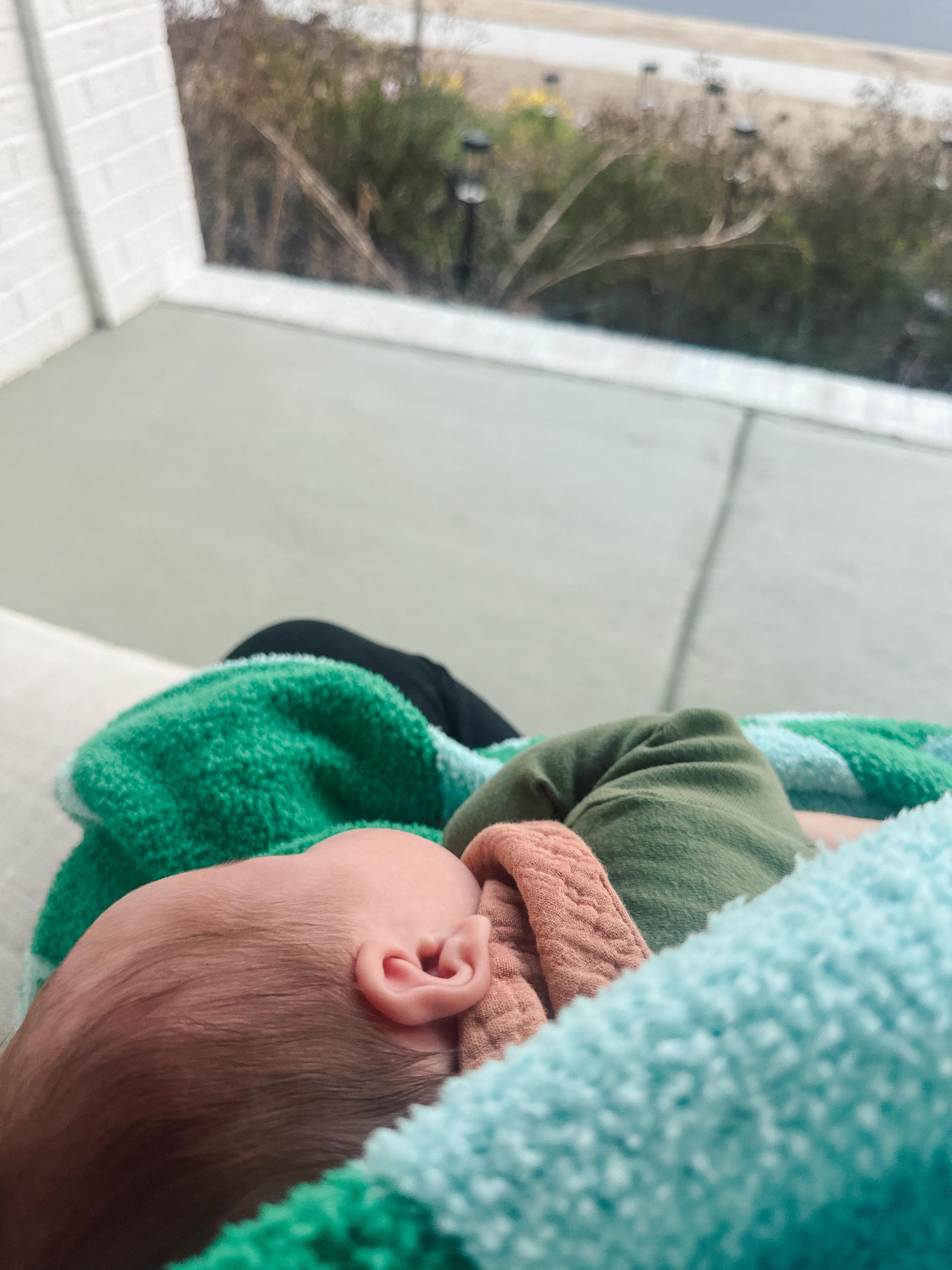 lifestyle blog, simply taralynn, bird buddy, toddler mom, newborn, mom blog, day in the life, food, recipes, newborn, boy mom, coffee, fort mill, sourdough, life, bush n vine, farms, york sc, coffee shops, rock hill, charlotte, mommy blogger, spring, healthy food