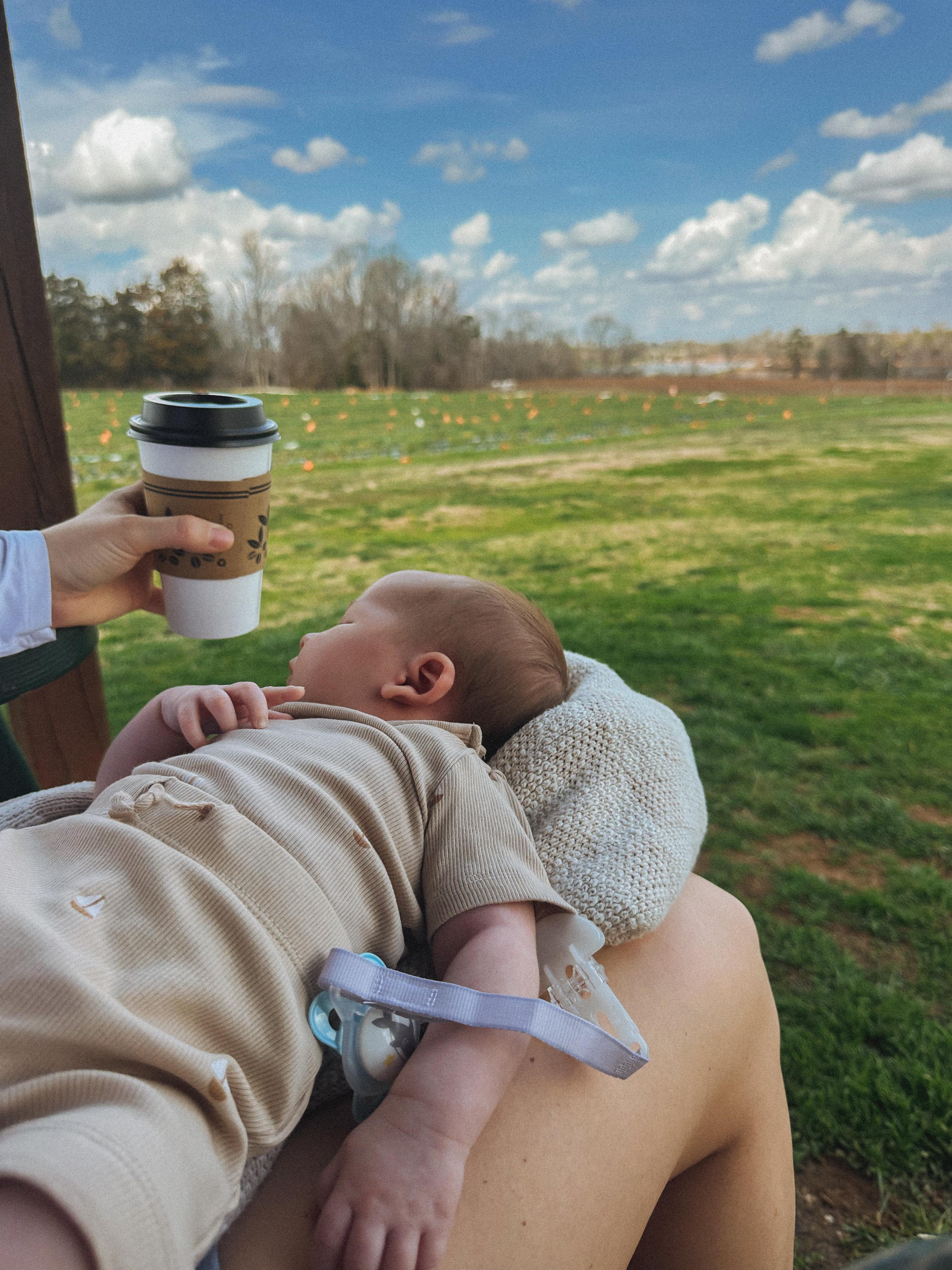 lifestyle blog, simply taralynn, bird buddy, toddler mom, newborn, mom blog, day in the life, food, recipes, newborn, boy mom, coffee, fort mill, sourdough, life, bush n vine, farms, york sc, coffee shops, rock hill, charlotte, mommy blogger, spring, healthy food