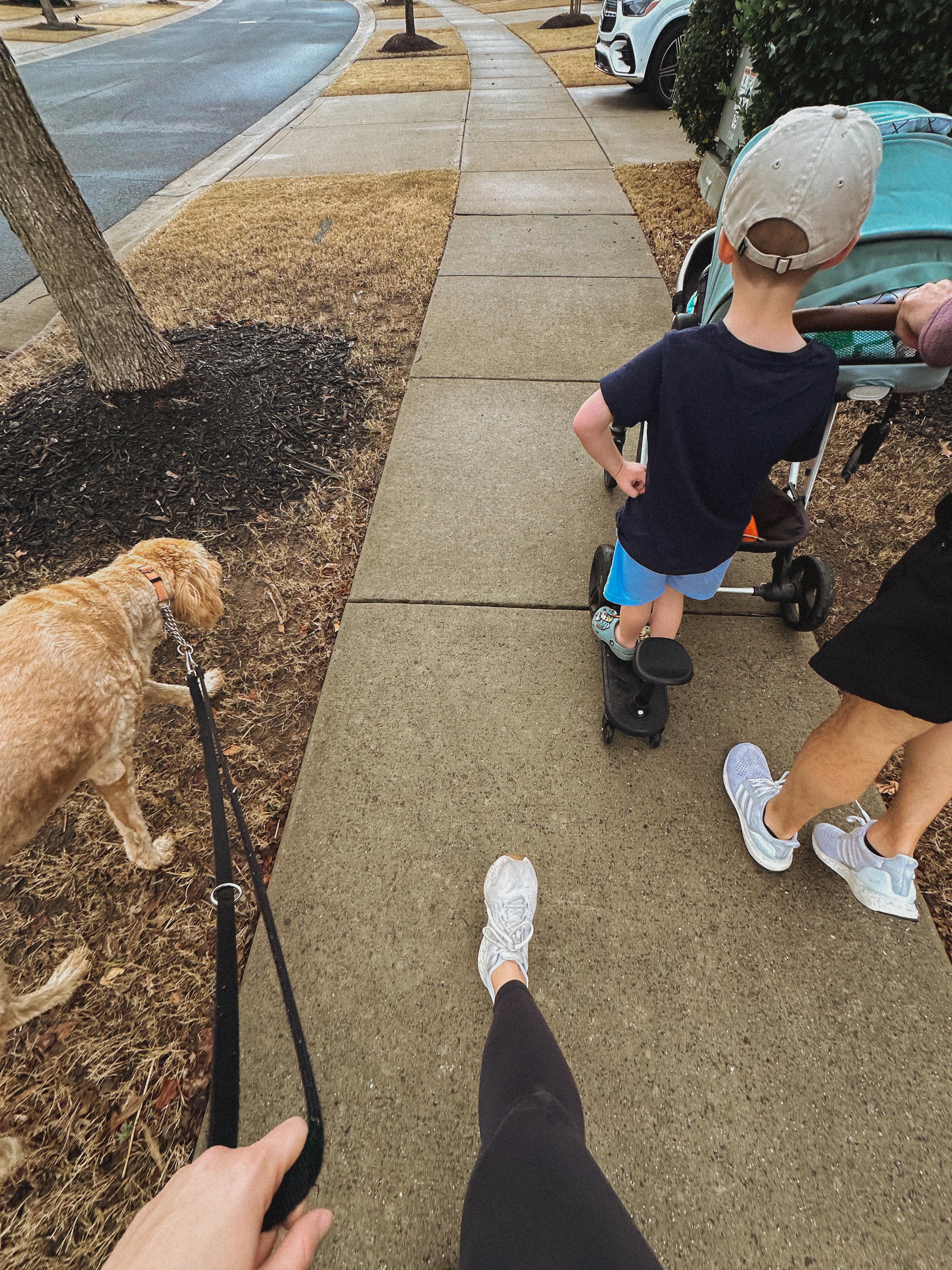 lifestyle blog, simply taralynn, bird buddy, toddler mom, newborn, mom blog, day in the life, food, recipes, newborn, boy mom, coffee, fort mill, sourdough, life, bush n vine, farms, york sc, coffee shops, rock hill, charlotte, mommy blogger, spring, healthy food
