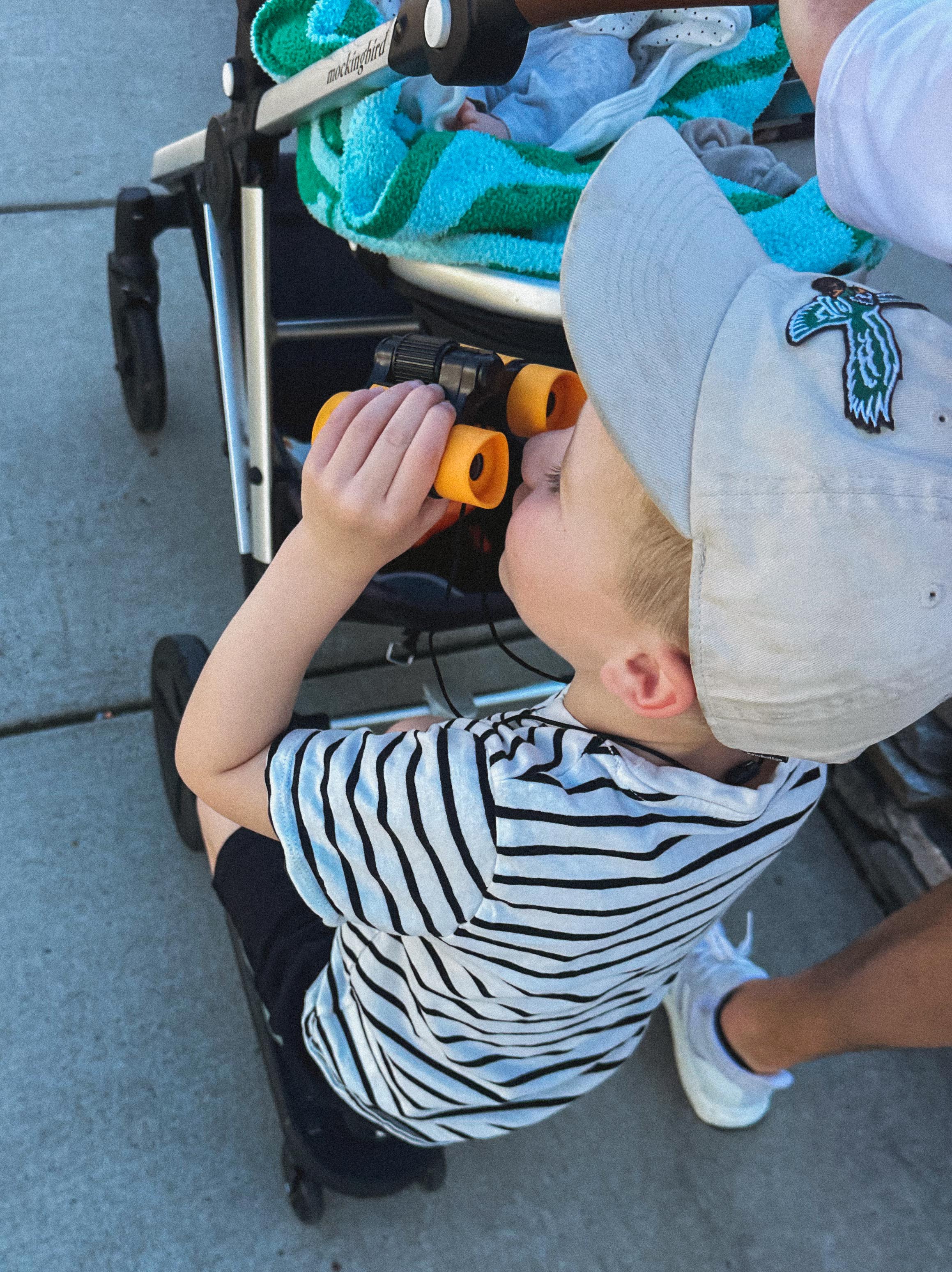 lifestyle blog, simply taralynn, bird buddy, toddler mom, newborn, mom blog, day in the life, food, recipes, newborn, boy mom, coffee, fort mill, sourdough, life, bush n vine, farms, york sc, coffee shops, rock hill, charlotte, mommy blogger, spring, healthy food