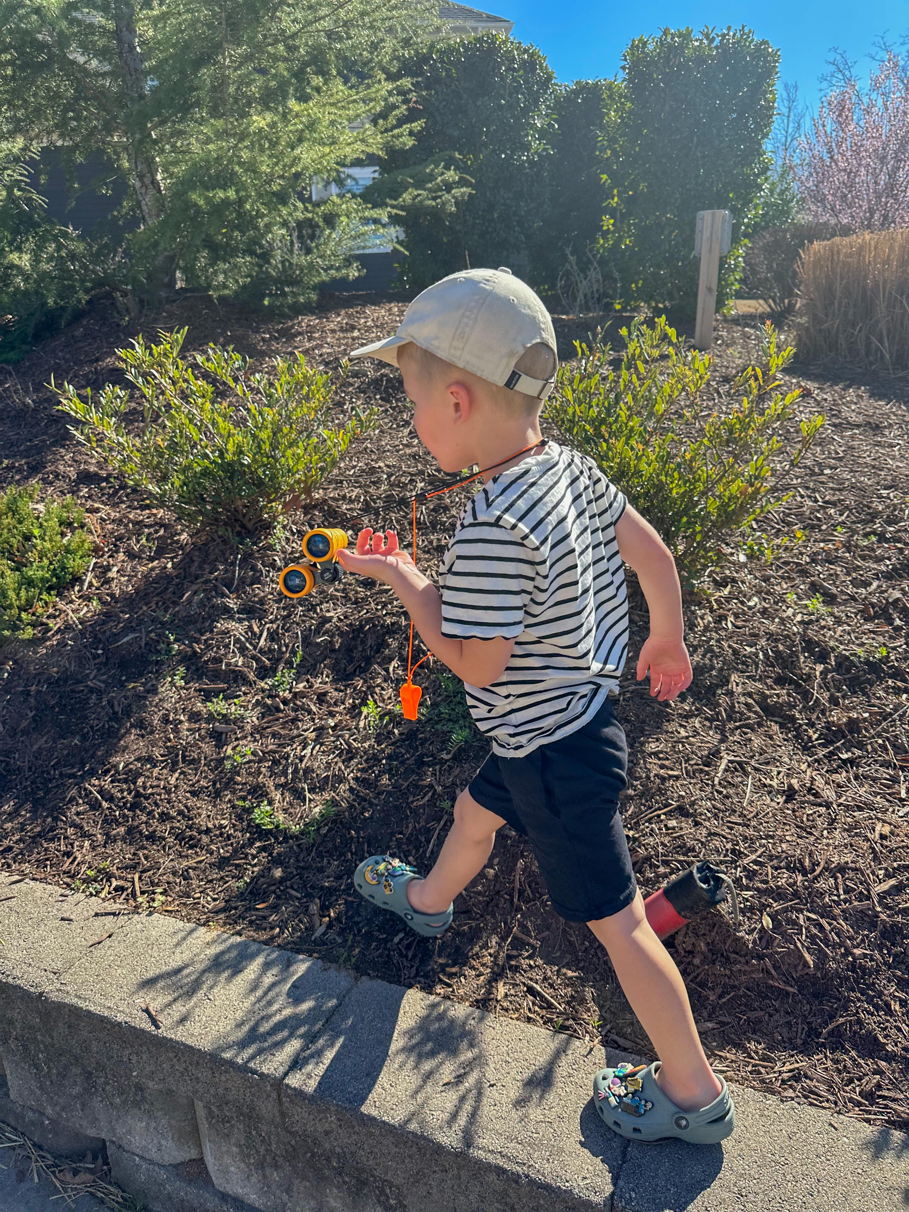 lifestyle blog, simply taralynn, bird buddy, toddler mom, newborn, mom blog, day in the life, food, recipes, newborn, boy mom, coffee, fort mill, sourdough, life, bush n vine, farms, york sc, coffee shops, rock hill, charlotte, mommy blogger, spring, healthy food