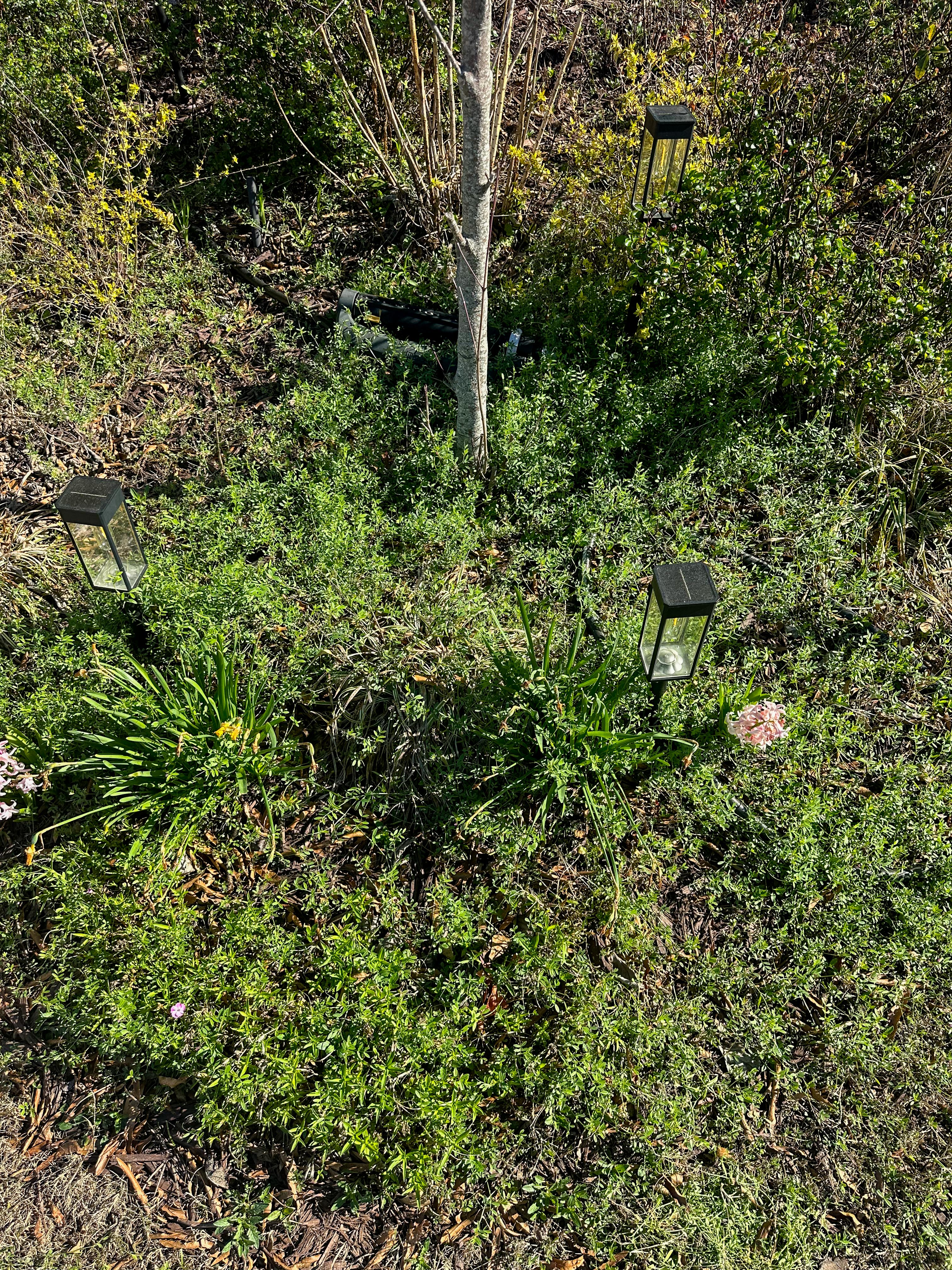 lifestyle blog, simply taralynn, bird buddy, toddler mom, newborn, mom blog, day in the life, food, recipes, newborn, boy mom, coffee, fort mill, sourdough, life, bush n vine, farms, york sc, coffee shops, rock hill, charlotte, mommy blogger, spring, healthy food