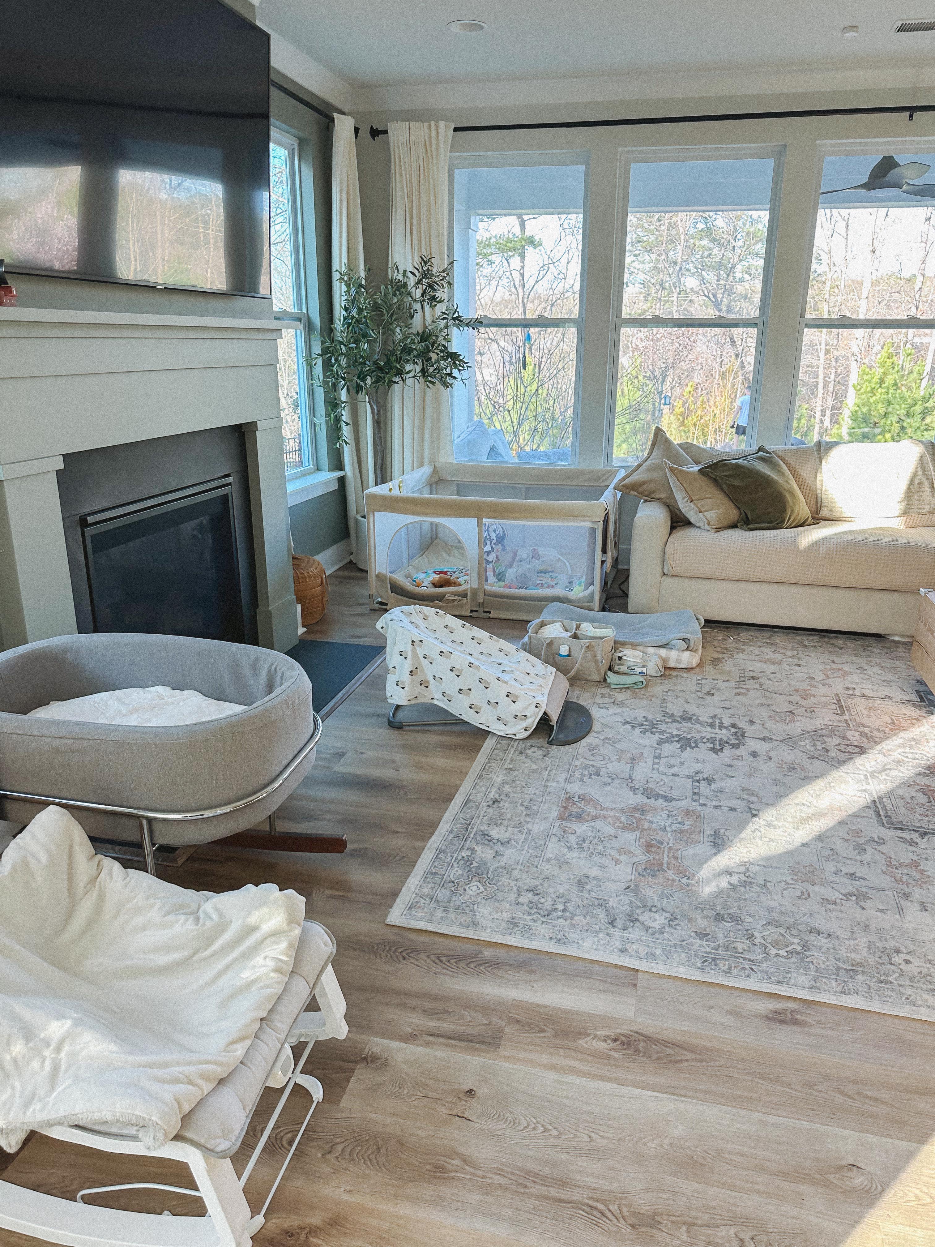 lifestyle blog, simply taralynn, bird buddy, toddler mom, newborn, mom blog, day in the life, food, recipes, newborn, boy mom, coffee, fort mill, sourdough, life, bush n vine, farms, york sc, coffee shops, rock hill, charlotte, mommy blogger, spring, healthy food