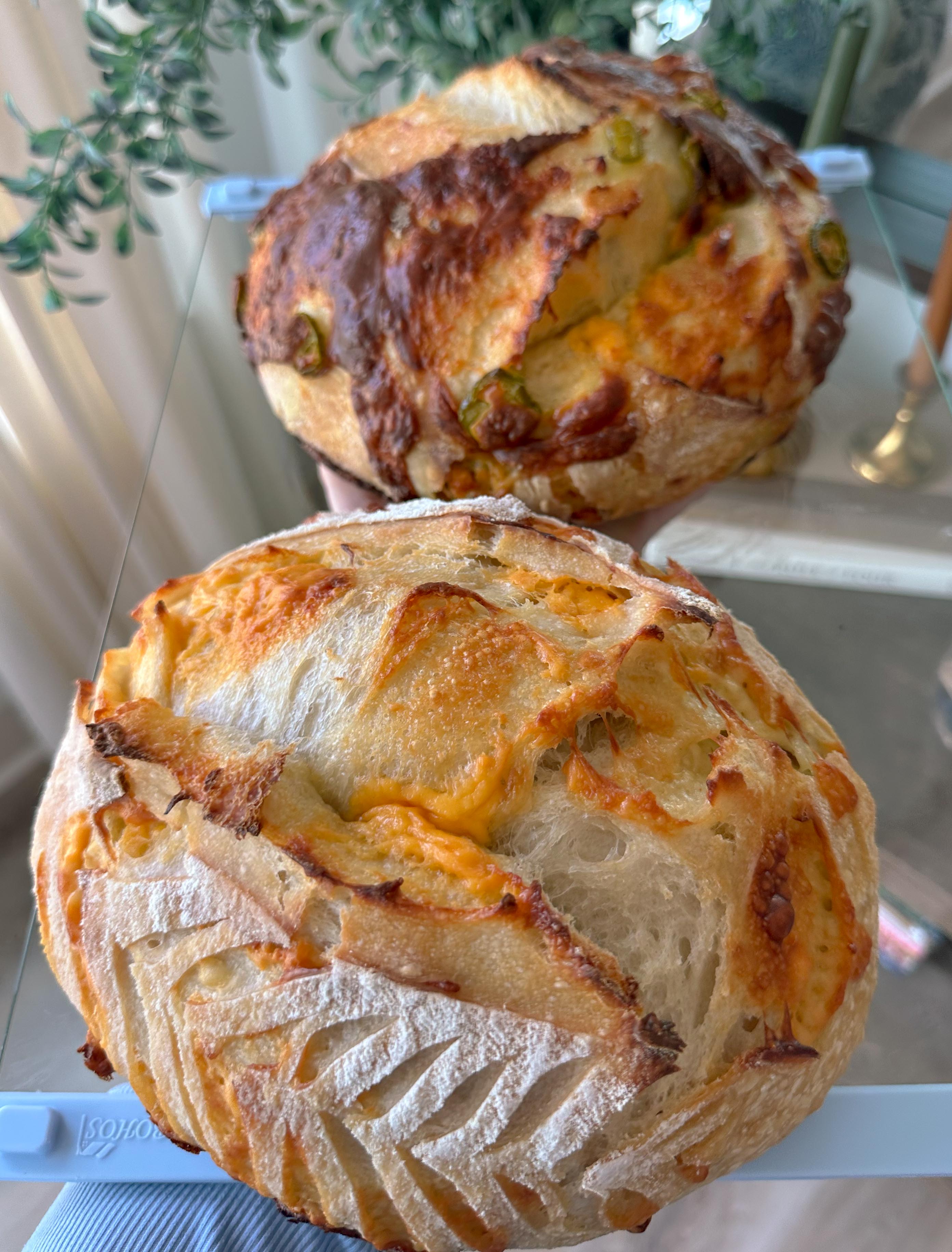 lifestyle blog, simply taralynn, bird buddy, toddler mom, newborn, mom blog, day in the life, food, recipes, newborn, boy mom, coffee, fort mill, sourdough, life, bush n vine, farms, york sc, coffee shops, rock hill, charlotte, mommy blogger, spring, healthy food