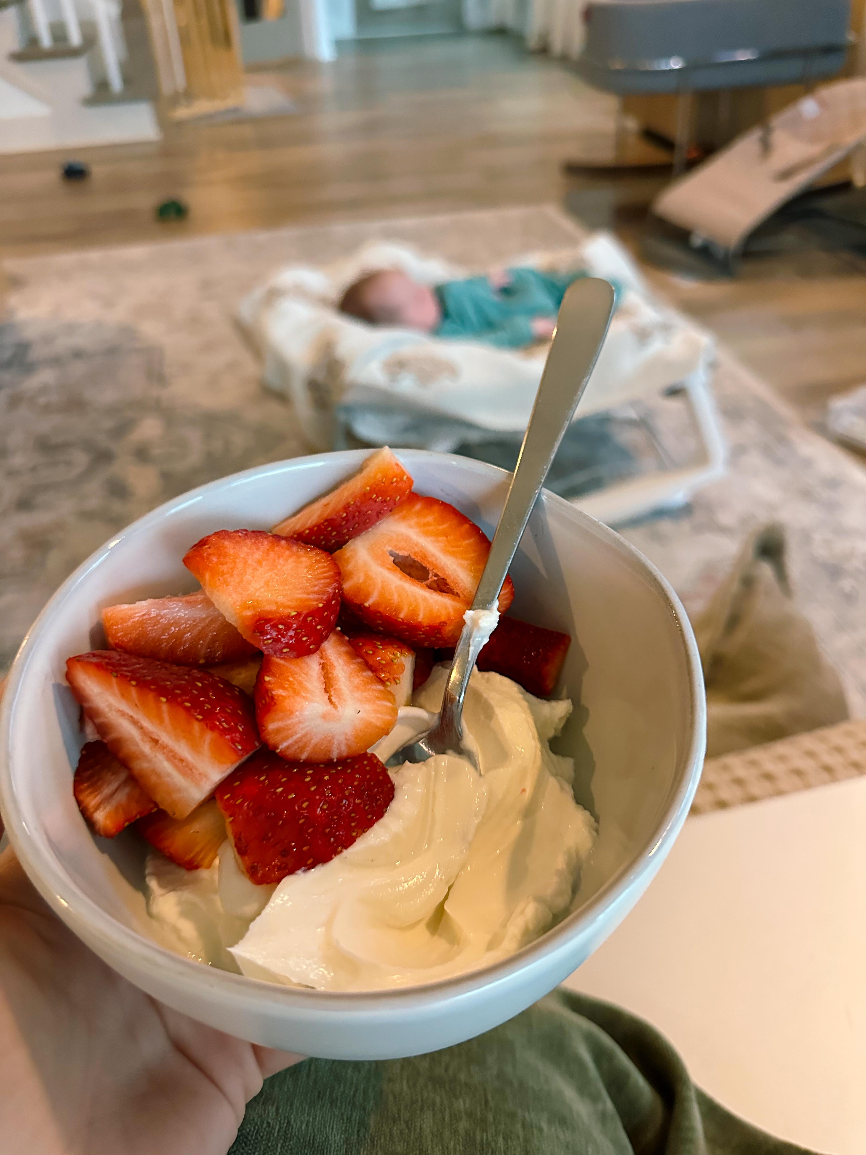 lifestyle blog, simply taralynn, bird buddy, toddler mom, newborn, mom blog, day in the life, food, recipes, newborn, boy mom, coffee, fort mill, sourdough, life, bush n vine, farms, york sc, coffee shops, rock hill, charlotte, mommy blogger, spring, healthy food