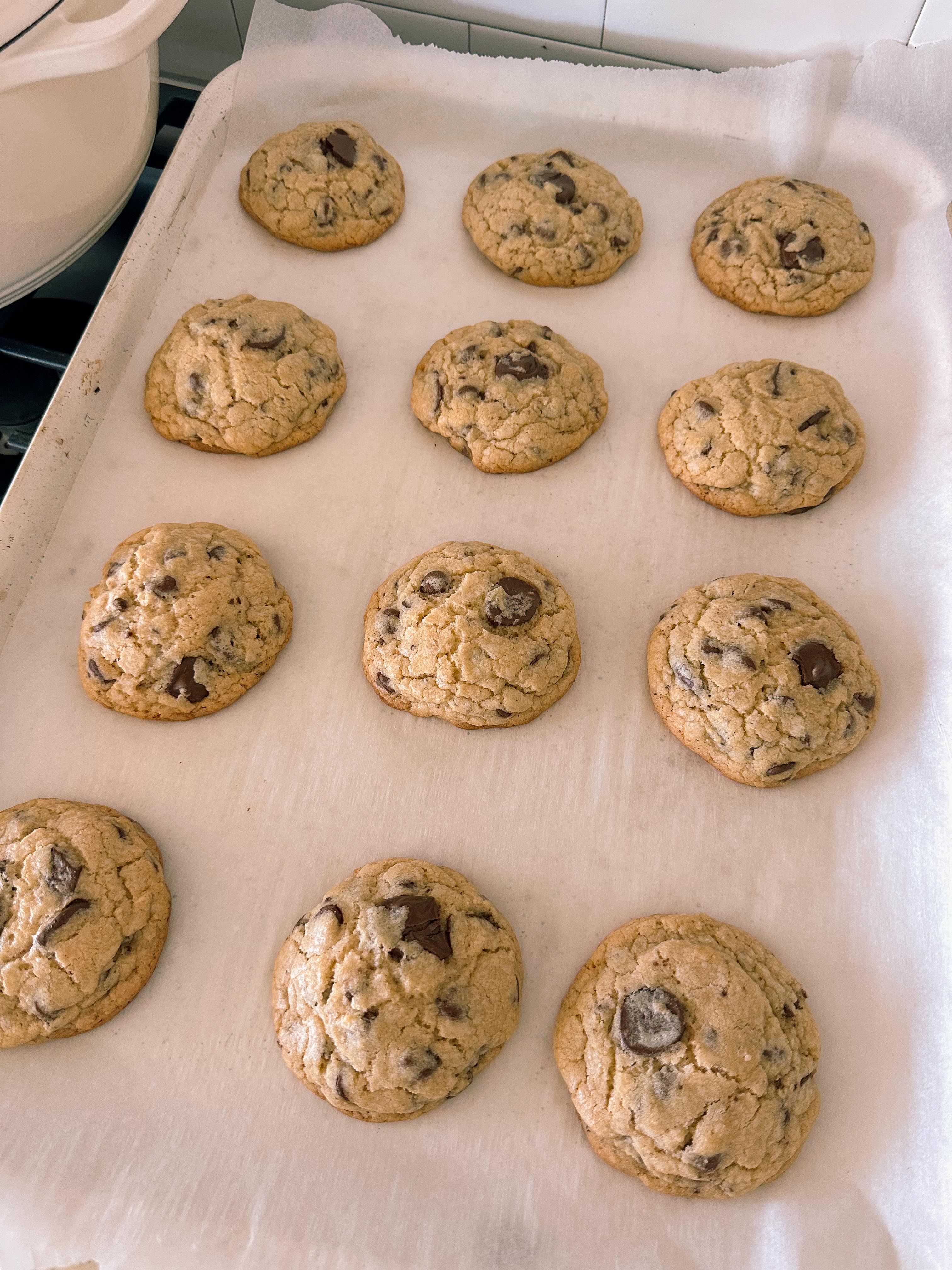 lifestyle blog, simply taralynn, bird buddy, toddler mom, newborn, mom blog, day in the life, food, recipes, newborn, boy mom, coffee, fort mill, sourdough, life, bush n vine, farms, york sc, coffee shops, rock hill, charlotte, mommy blogger, spring, healthy food