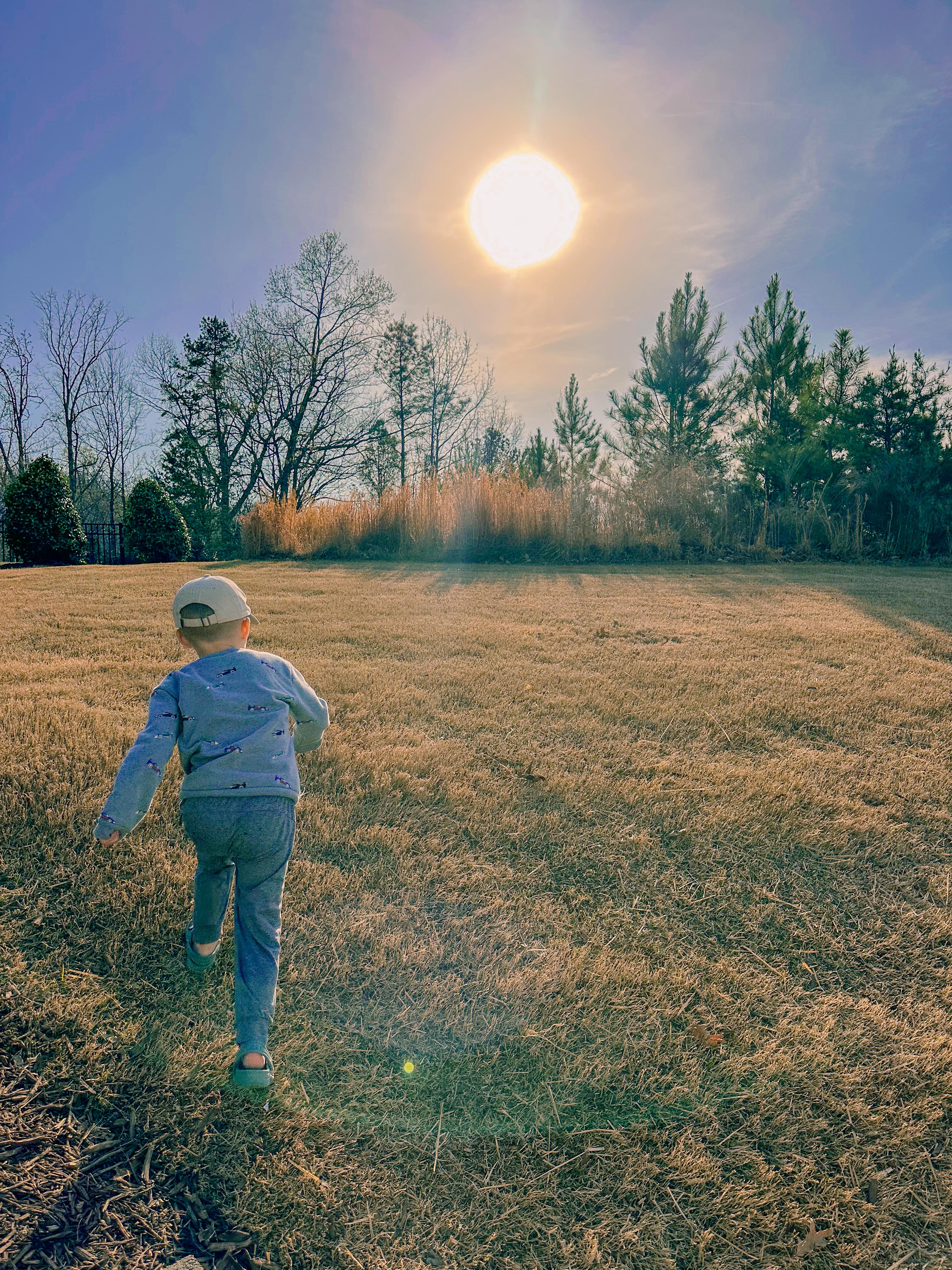 lifestyle blog, simply taralynn, bird buddy, toddler mom, newborn, mom blog, day in the life, food, recipes, newborn, boy mom, coffee, fort mill, sourdough, life, bush n vine, farms, york sc, coffee shops, rock hill, charlotte, mommy blogger, spring, healthy food