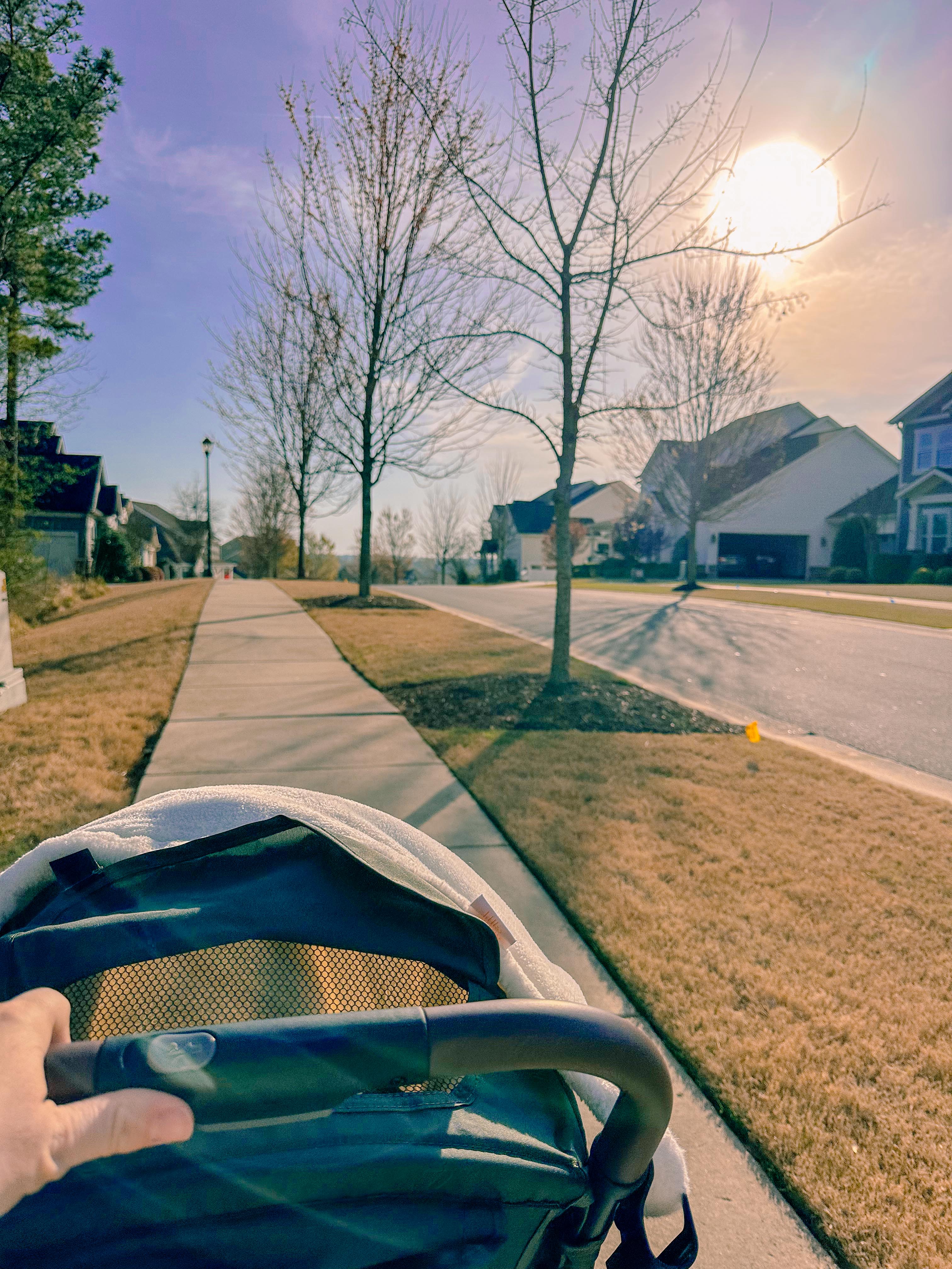 lifestyle blog, simply taralynn, bird buddy, toddler mom, newborn, mom blog, day in the life, food, recipes, newborn, boy mom, coffee, fort mill, sourdough, life, bush n vine, farms, york sc, coffee shops, rock hill, charlotte, mommy blogger, spring, healthy food