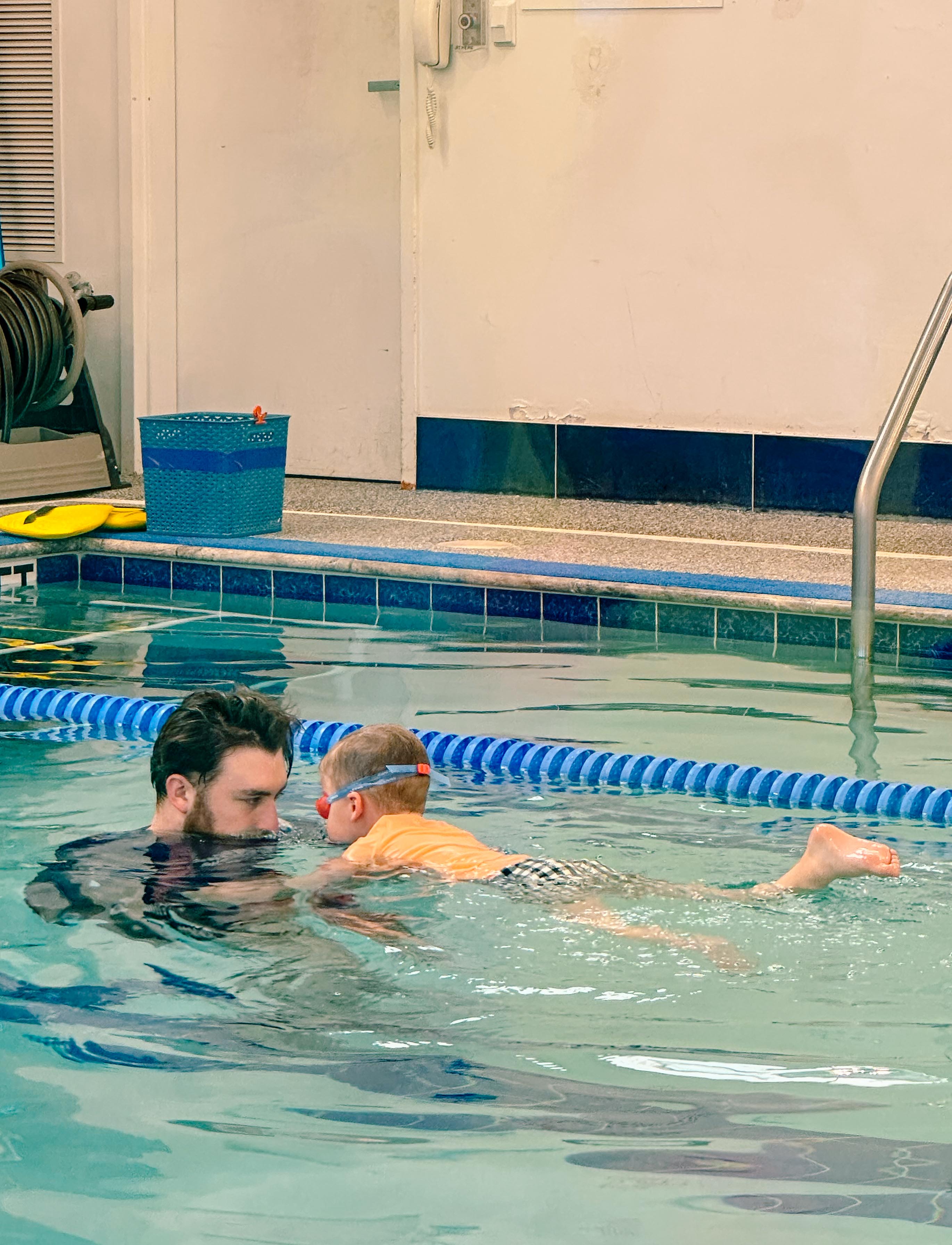 lifestyle blog, simply taralynn, bird buddy, toddler mom, newborn, mom blog, day in the life, food, recipes, newborn, boy mom, coffee, fort mill, sourdough, life, bush n vine, farms, york sc, coffee shops, rock hill, charlotte, mommy blogger, spring, healthy food