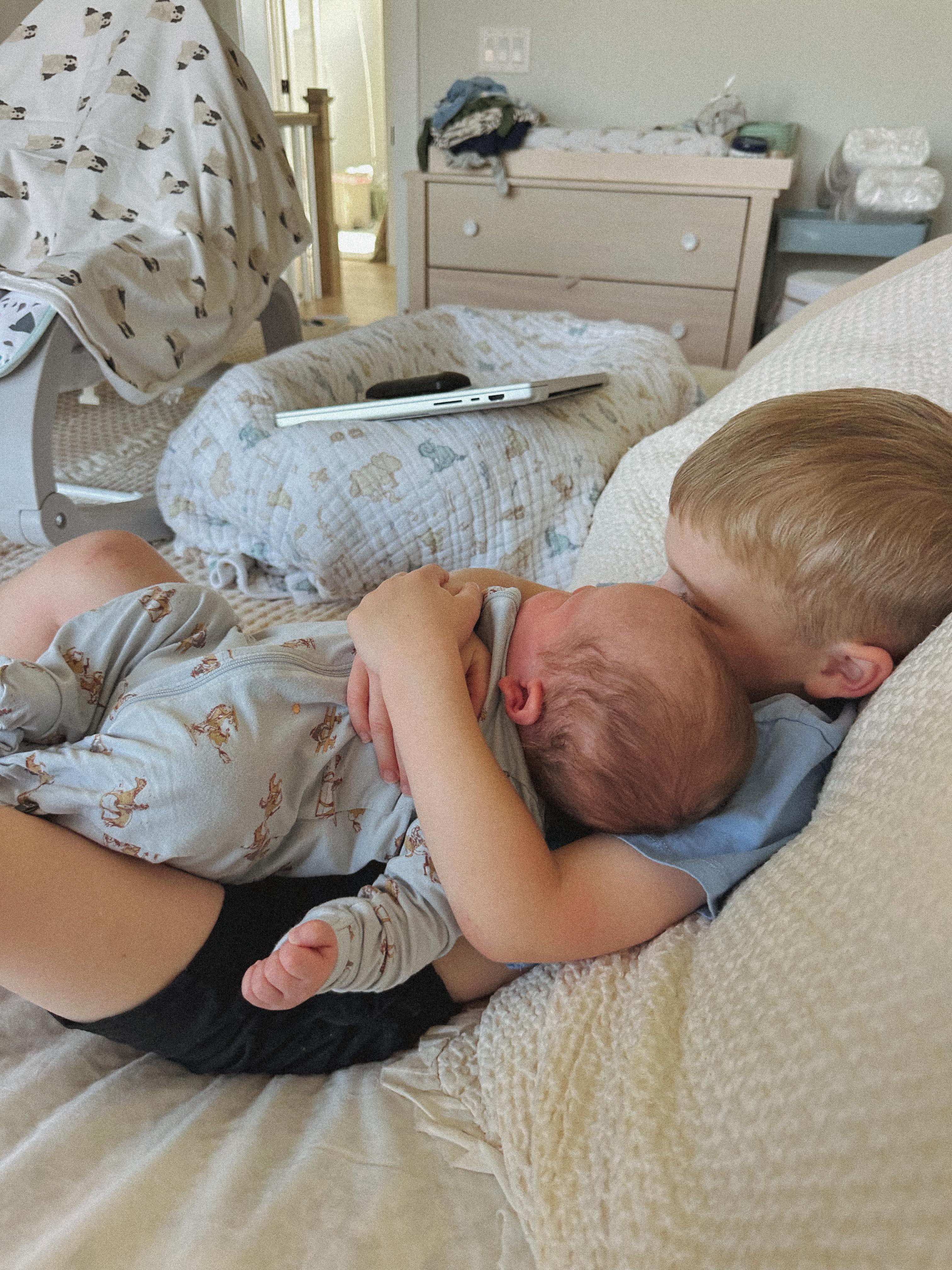 lifestyle blog, simply taralynn, bird buddy, toddler mom, newborn, mom blog, day in the life, food, recipes, newborn, boy mom, coffee, fort mill, sourdough, life, bush n vine, farms, york sc, coffee shops, rock hill, charlotte, mommy blogger, spring, healthy food, carowinds, spring, church