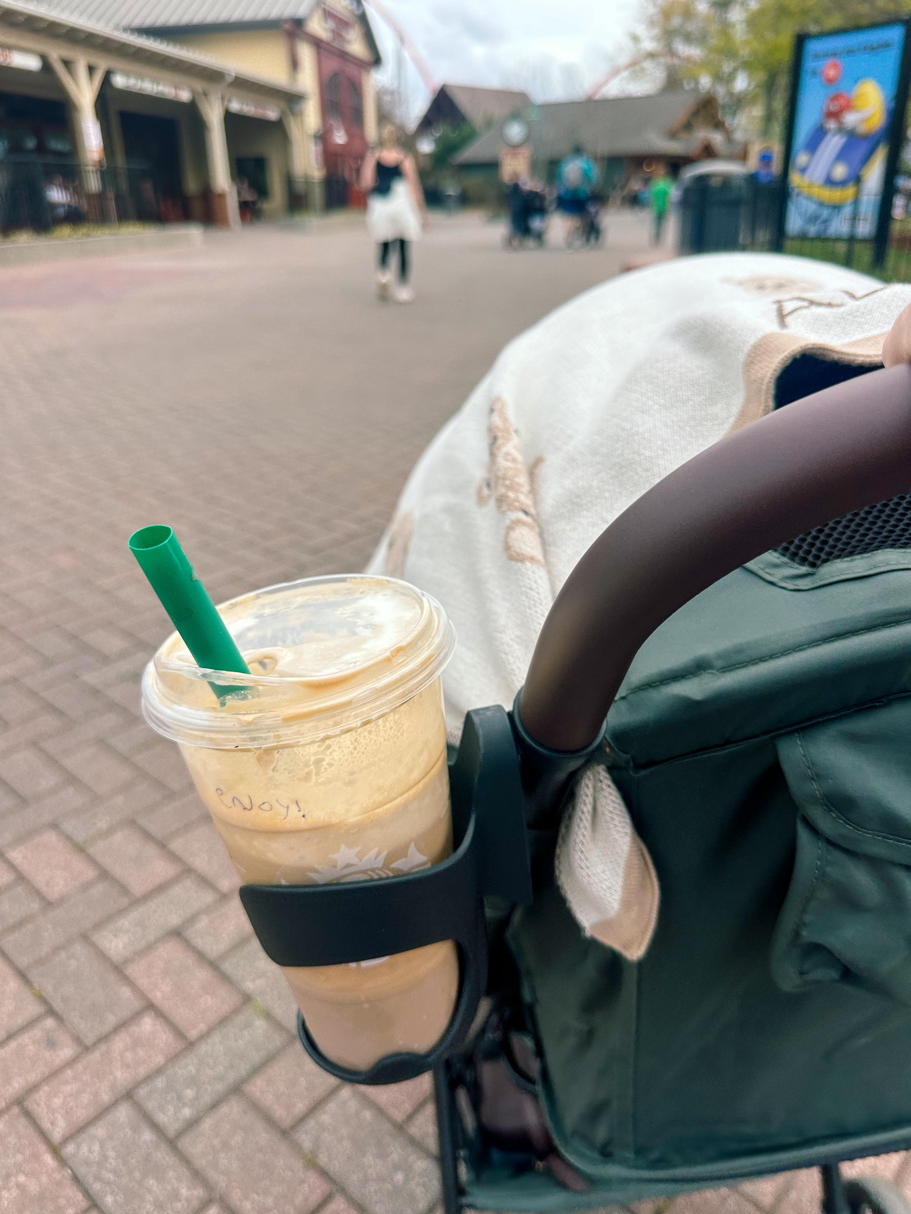 lifestyle blog, simply taralynn, bird buddy, toddler mom, newborn, mom blog, day in the life, food, recipes, newborn, boy mom, coffee, fort mill, sourdough, life, bush n vine, farms, york sc, coffee shops, rock hill, charlotte, mommy blogger, spring, healthy food, carowinds, spring, church