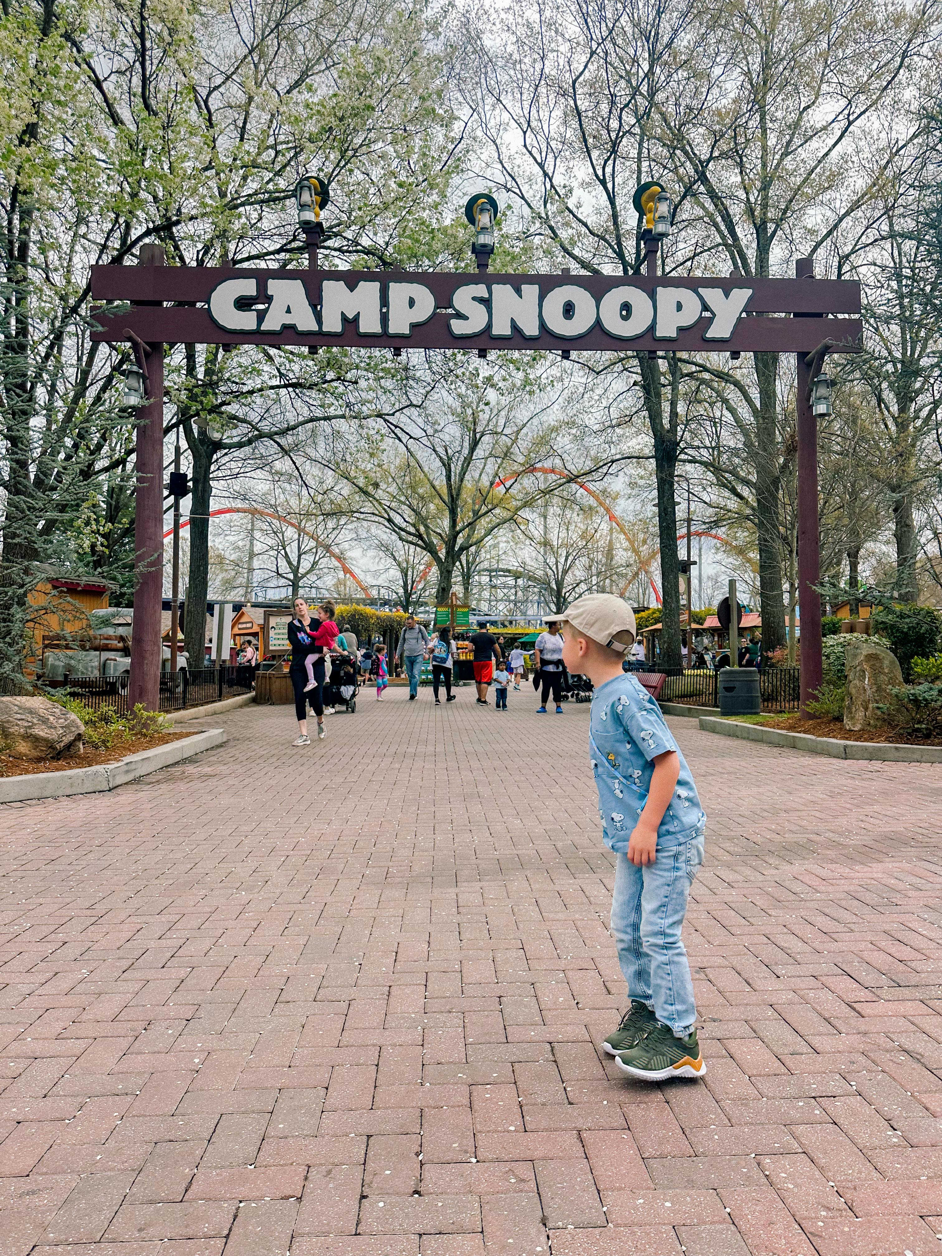 lifestyle blog, simply taralynn, bird buddy, toddler mom, newborn, mom blog, day in the life, food, recipes, newborn, boy mom, coffee, fort mill, sourdough, life, bush n vine, farms, york sc, coffee shops, rock hill, charlotte, mommy blogger, spring, healthy food, carowinds, spring, church