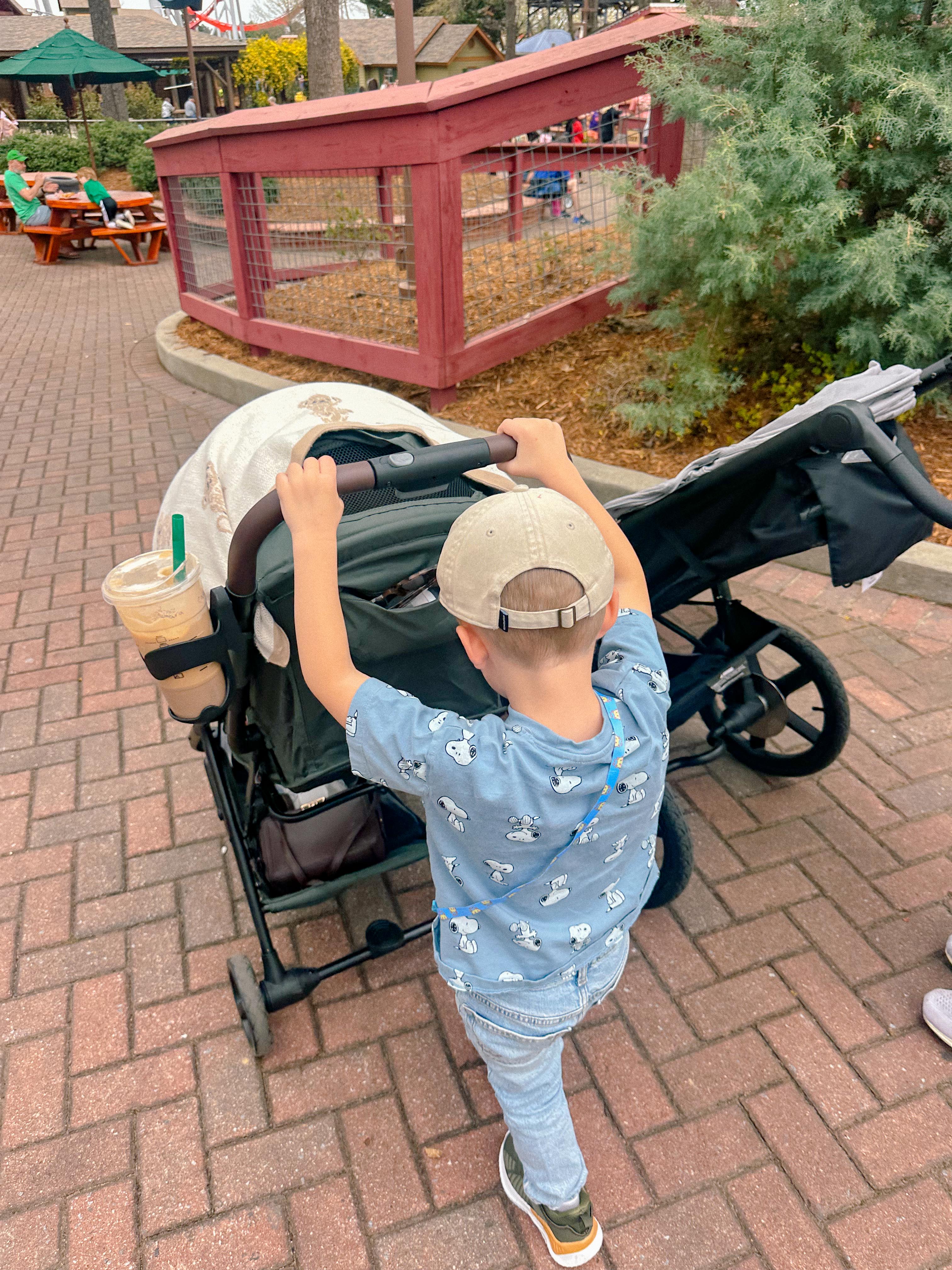 lifestyle blog, simply taralynn, bird buddy, toddler mom, newborn, mom blog, day in the life, food, recipes, newborn, boy mom, coffee, fort mill, sourdough, life, bush n vine, farms, york sc, coffee shops, rock hill, charlotte, mommy blogger, spring, healthy food, carowinds, spring, church