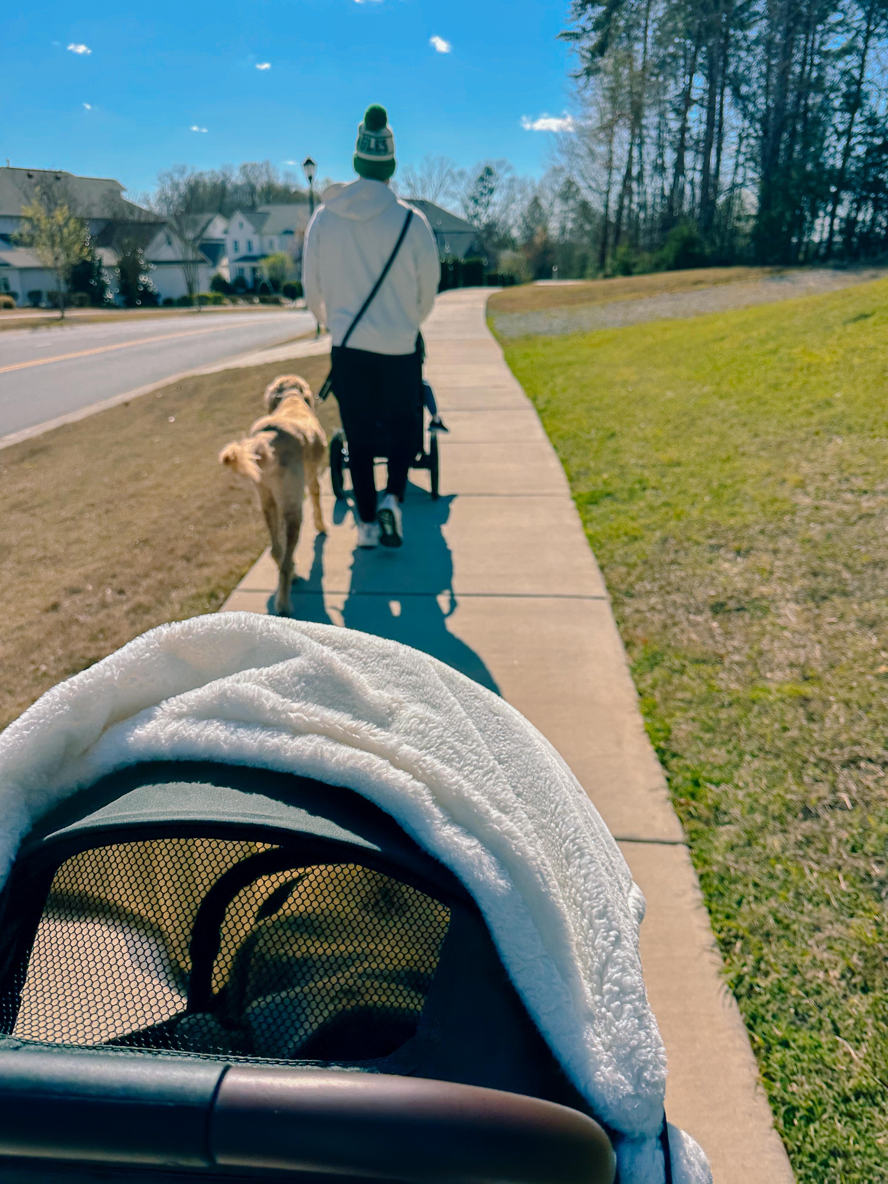 weekly recap, motherhood blog, lifestyle, charlotte, soccer mom, healthy food, lifestyle, dinner for family, postpartum, newborn, boy mom, fort mill, easter, bush n vine, york, anne springs, spring break, motherhood lifestyle blogger, carowinds, healthy dinner ideas, chalk, boy mom, walking, life with toddlers, church, home, baking, gardening, rock hill, spring, coffee, parks