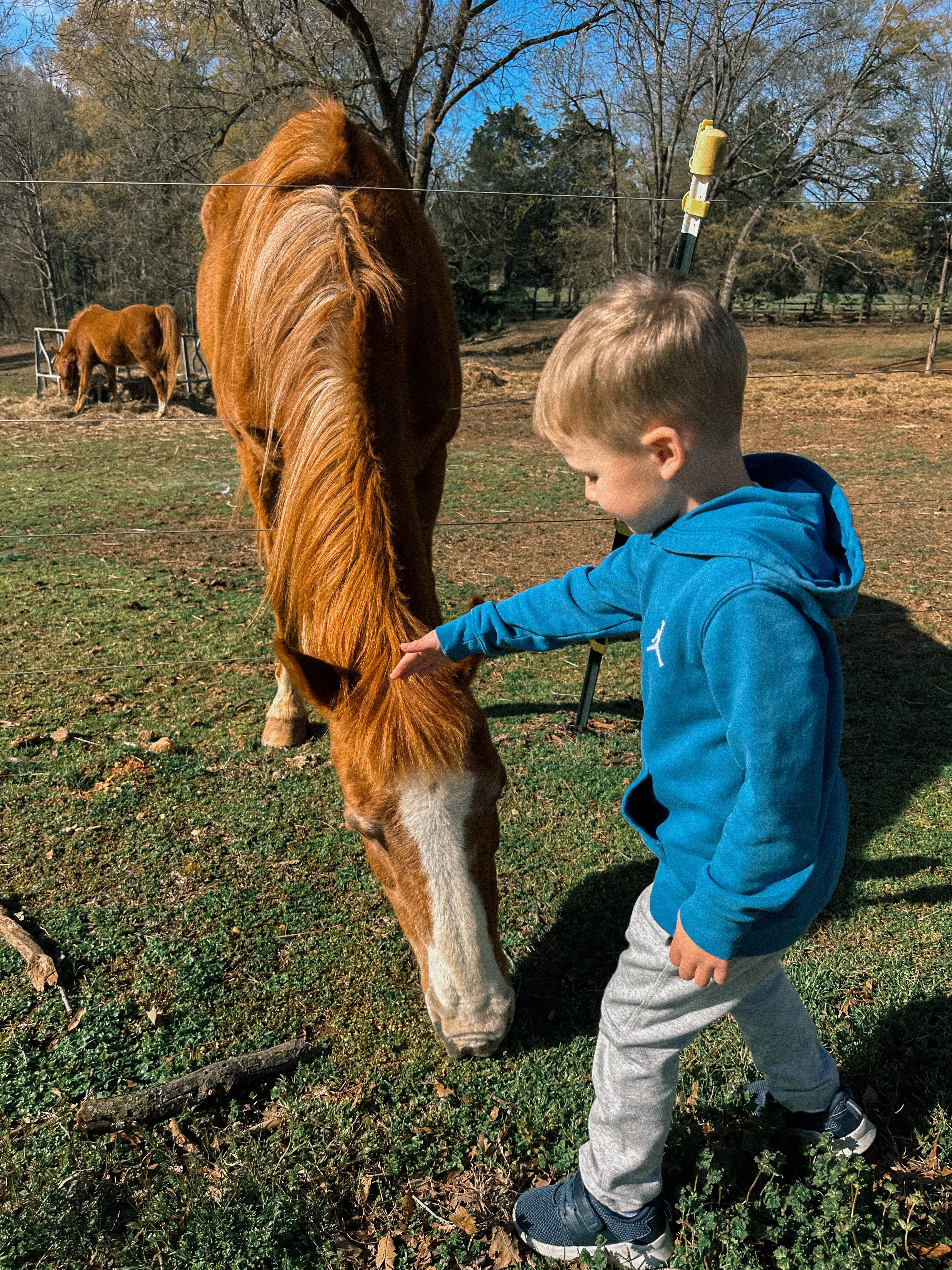 weekly recap, motherhood blog, lifestyle, charlotte, soccer mom, healthy food, lifestyle, dinner for family, postpartum, newborn, boy mom, fort mill, easter, bush n vine, york, anne springs, spring break, motherhood lifestyle blogger, carowinds, healthy dinner ideas, chalk, boy mom, walking, life with toddlers, church, home, baking, gardening, rock hill, spring, coffee, parks