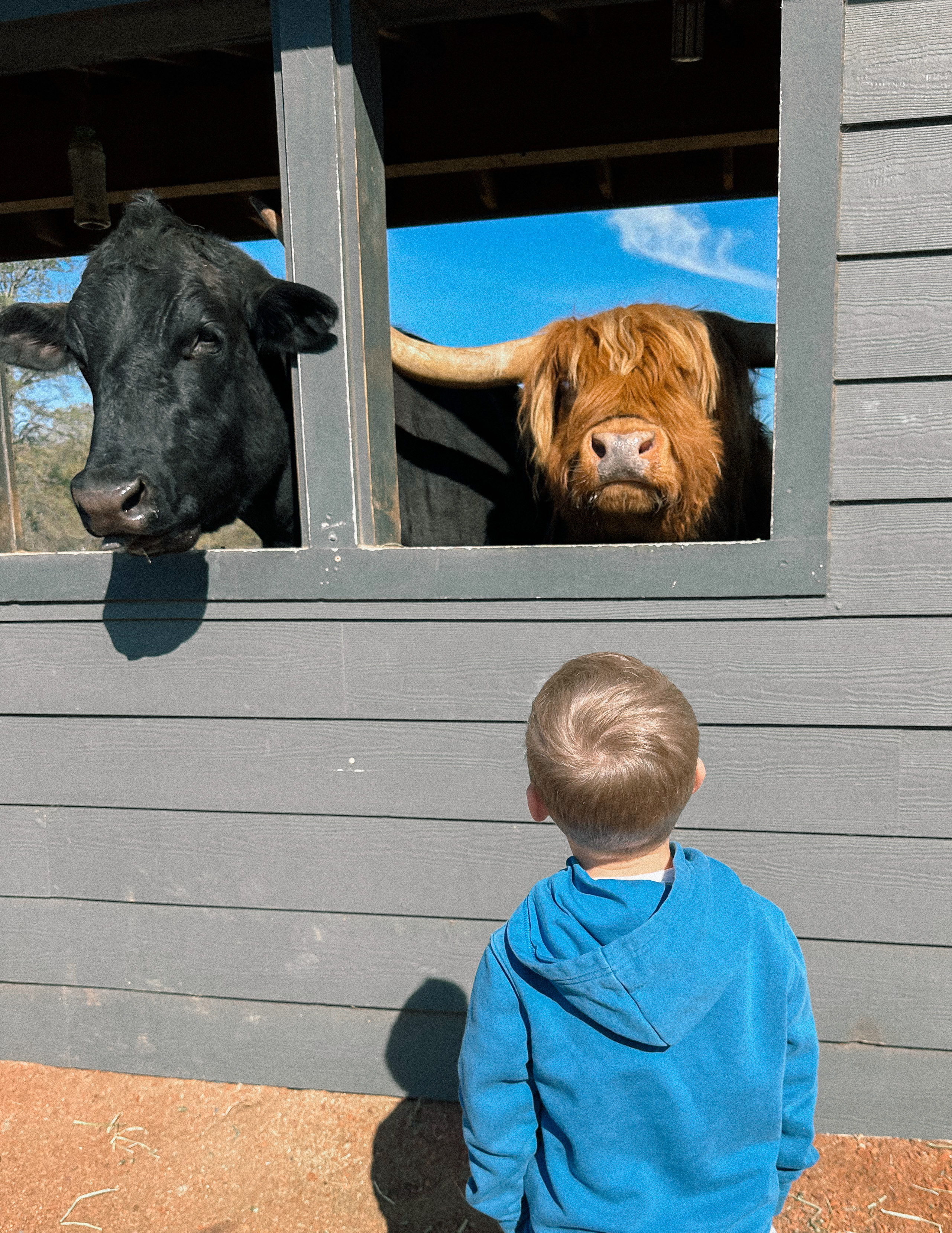 weekly recap, motherhood blog, lifestyle, charlotte, soccer mom, healthy food, lifestyle, dinner for family, postpartum, newborn, boy mom, fort mill, easter, bush n vine, york, anne springs, spring break, motherhood lifestyle blogger, carowinds, healthy dinner ideas, chalk, boy mom, walking, life with toddlers, church, home, baking, gardening, rock hill, spring, coffee, parks