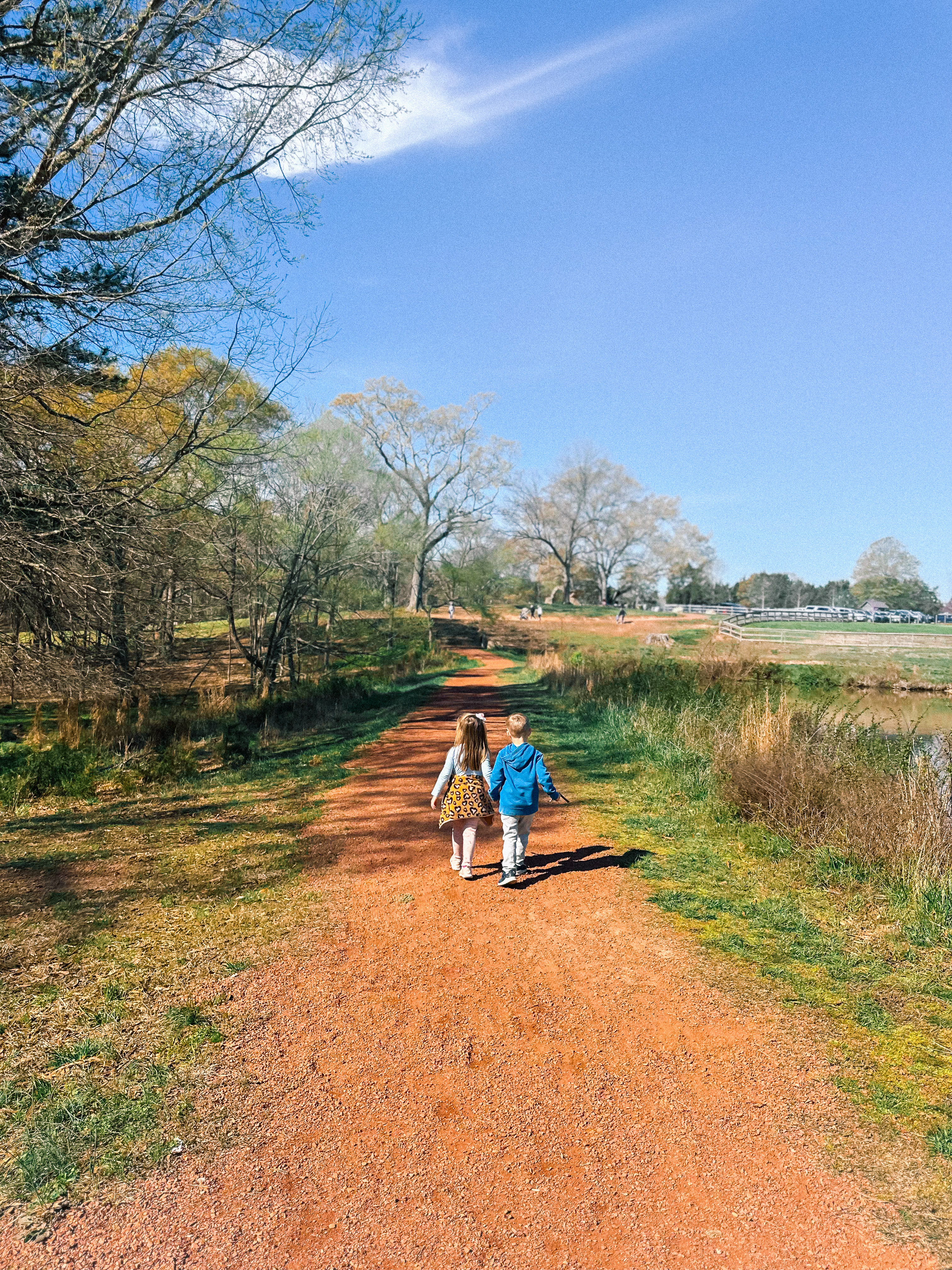 weekly recap, motherhood blog, lifestyle, charlotte, soccer mom, healthy food, lifestyle, dinner for family, postpartum, newborn, boy mom, fort mill, easter, bush n vine, york, anne springs, spring break, motherhood lifestyle blogger, carowinds, healthy dinner ideas, chalk, boy mom, walking, life with toddlers, church, home, baking, gardening, rock hill, spring, coffee, parks