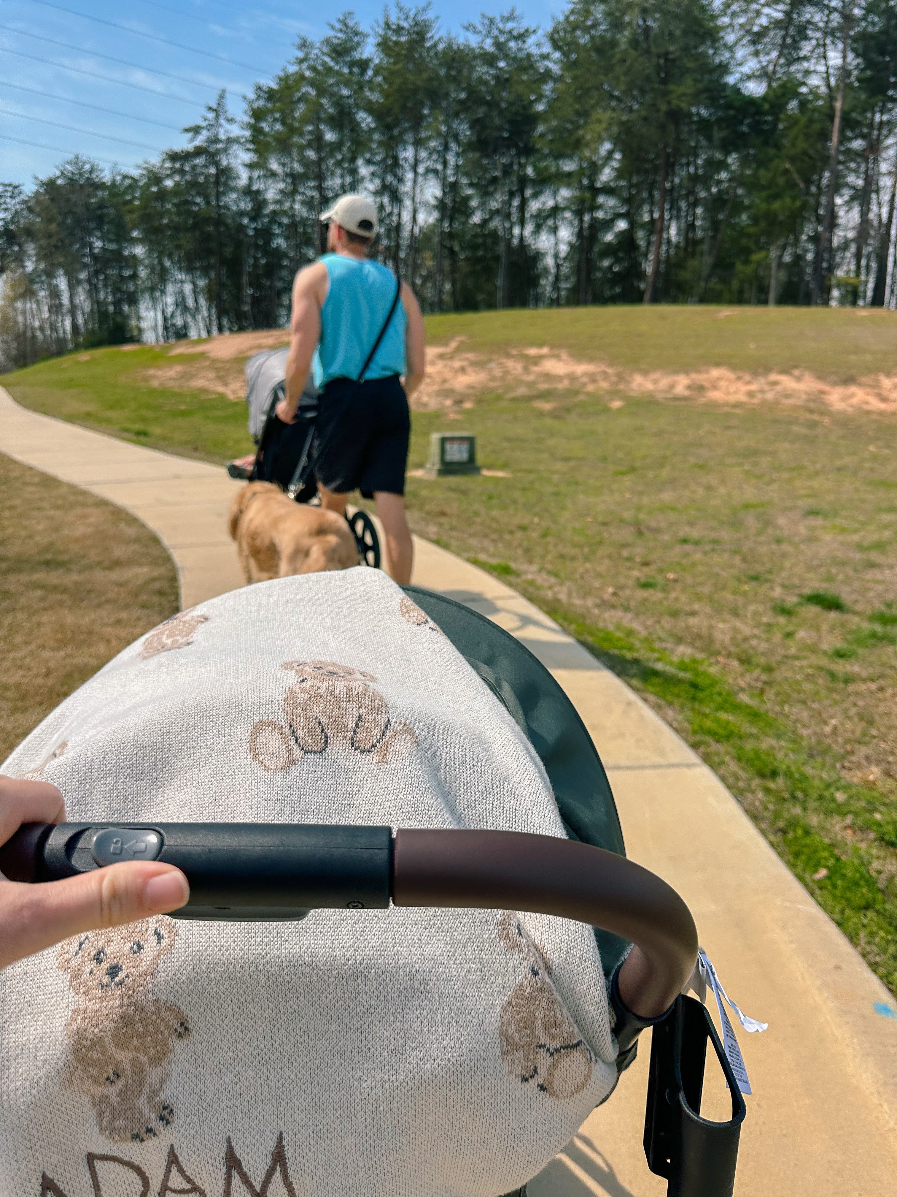 weekly recap, motherhood blog, lifestyle, charlotte, soccer mom, healthy food, lifestyle, dinner for family, postpartum, newborn, boy mom, fort mill, easter, bush n vine, york, anne springs, spring break, motherhood lifestyle blogger, carowinds, healthy dinner ideas, chalk, boy mom, walking, life with toddlers, church, home, baking, gardening, rock hill, spring, coffee, parks