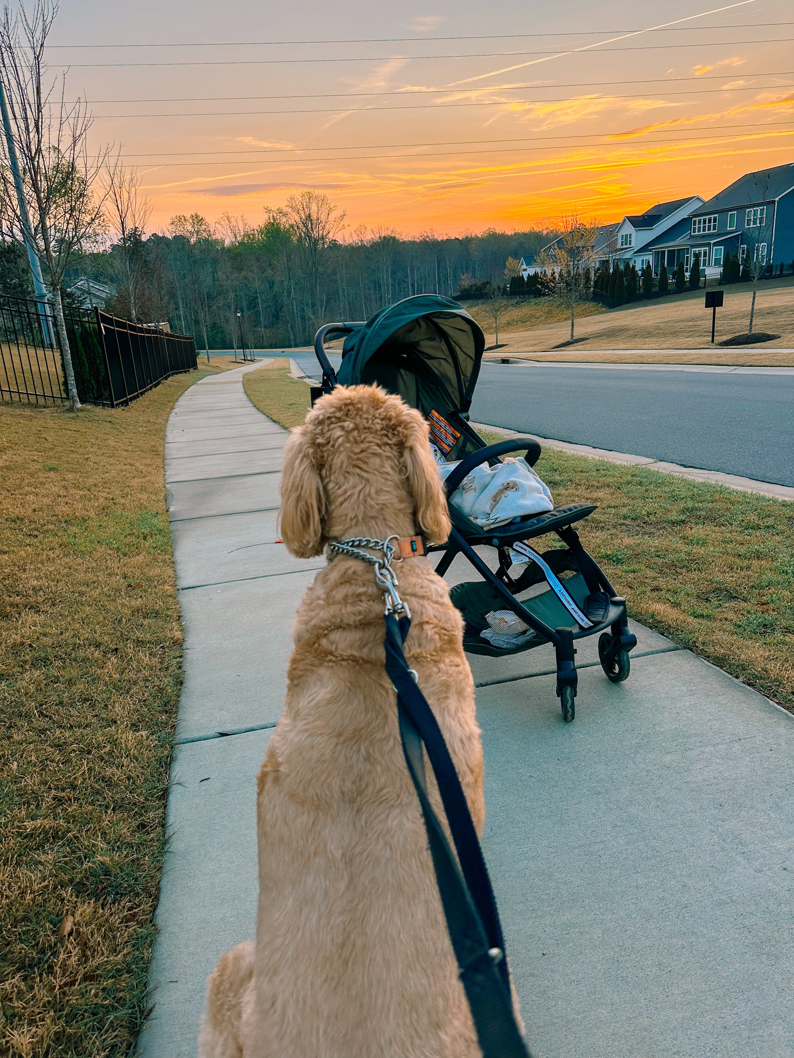 weekly recap, motherhood blog, lifestyle, charlotte, soccer mom, healthy food, lifestyle, dinner for family, postpartum, newborn, boy mom, fort mill, easter, bush n vine, york, anne springs, spring break, motherhood lifestyle blogger, carowinds, healthy dinner ideas, chalk, boy mom, walking, life with toddlers, church, home, baking, gardening, rock hill, spring, coffee, parks