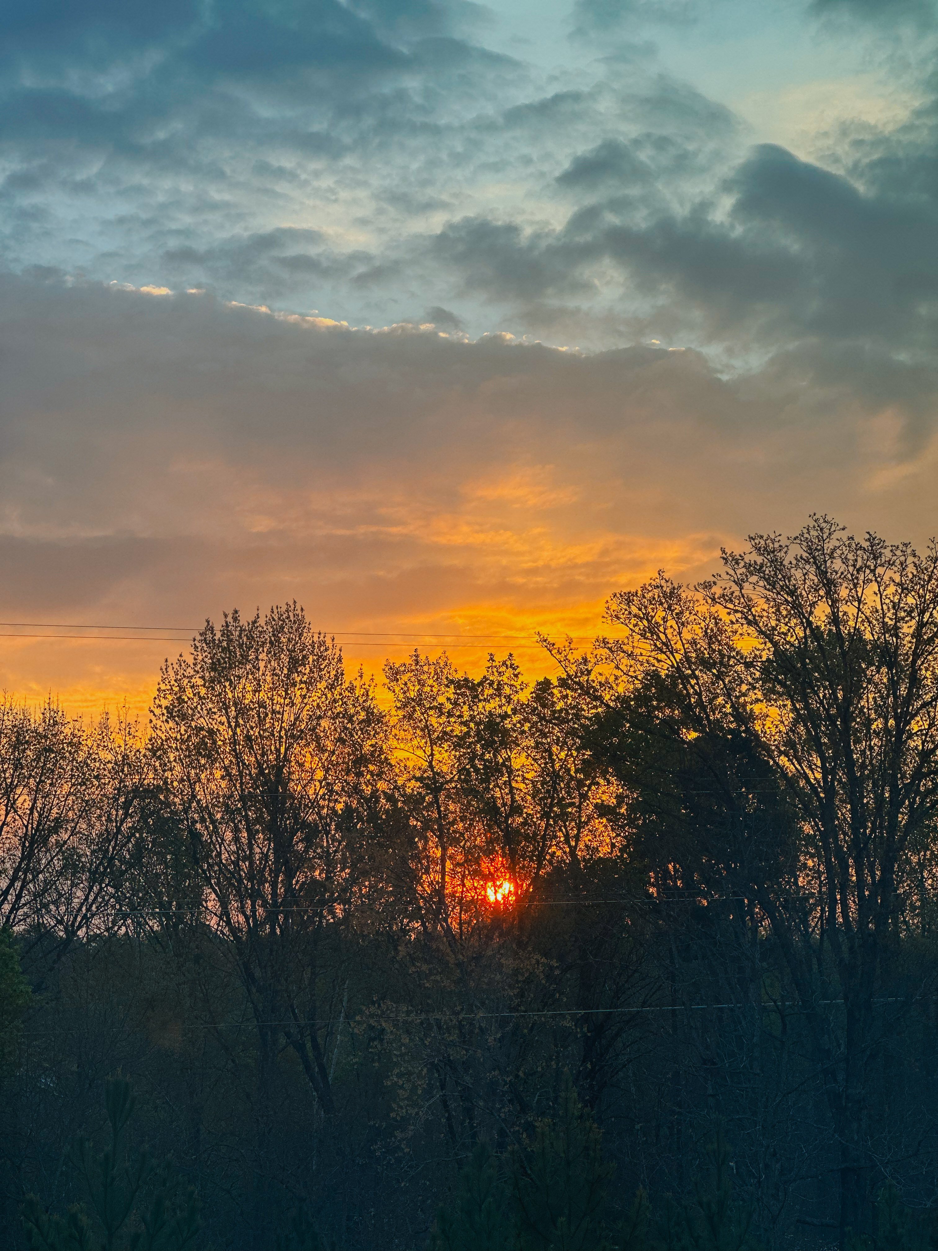 weekly recap, motherhood blog, lifestyle, charlotte, soccer mom, healthy food, lifestyle, dinner for family, postpartum, newborn, boy mom, fort mill, easter, bush n vine, york, anne springs, spring break, motherhood lifestyle blogger, carowinds, healthy dinner ideas, chalk, boy mom, walking, life with toddlers, church, home, baking, gardening, rock hill, spring, coffee, parks