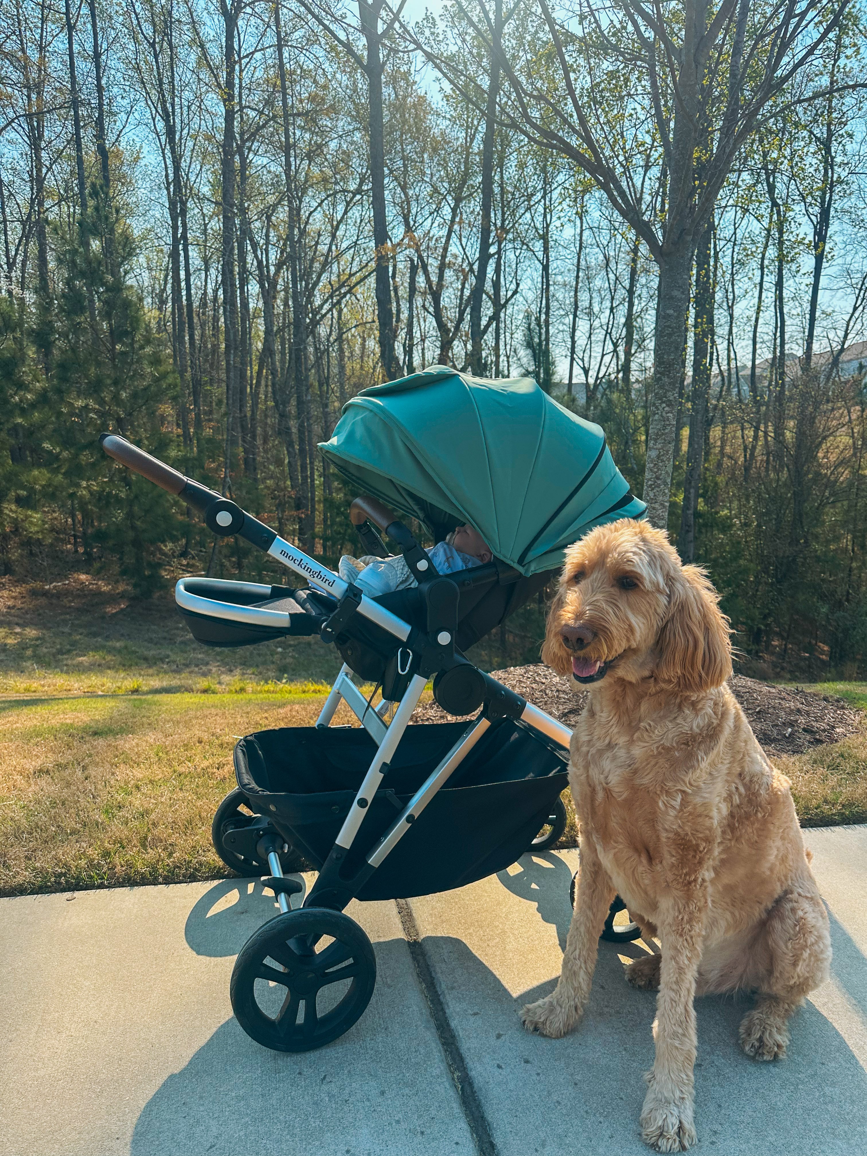 weekly recap, motherhood blog, lifestyle, charlotte, soccer mom, healthy food, lifestyle, dinner for family, postpartum, newborn, boy mom, fort mill, easter, bush n vine, york, anne springs, spring break, motherhood lifestyle blogger, carowinds, healthy dinner ideas, chalk, boy mom, walking, life with toddlers, church, home, baking, gardening, rock hill, spring, coffee, parks