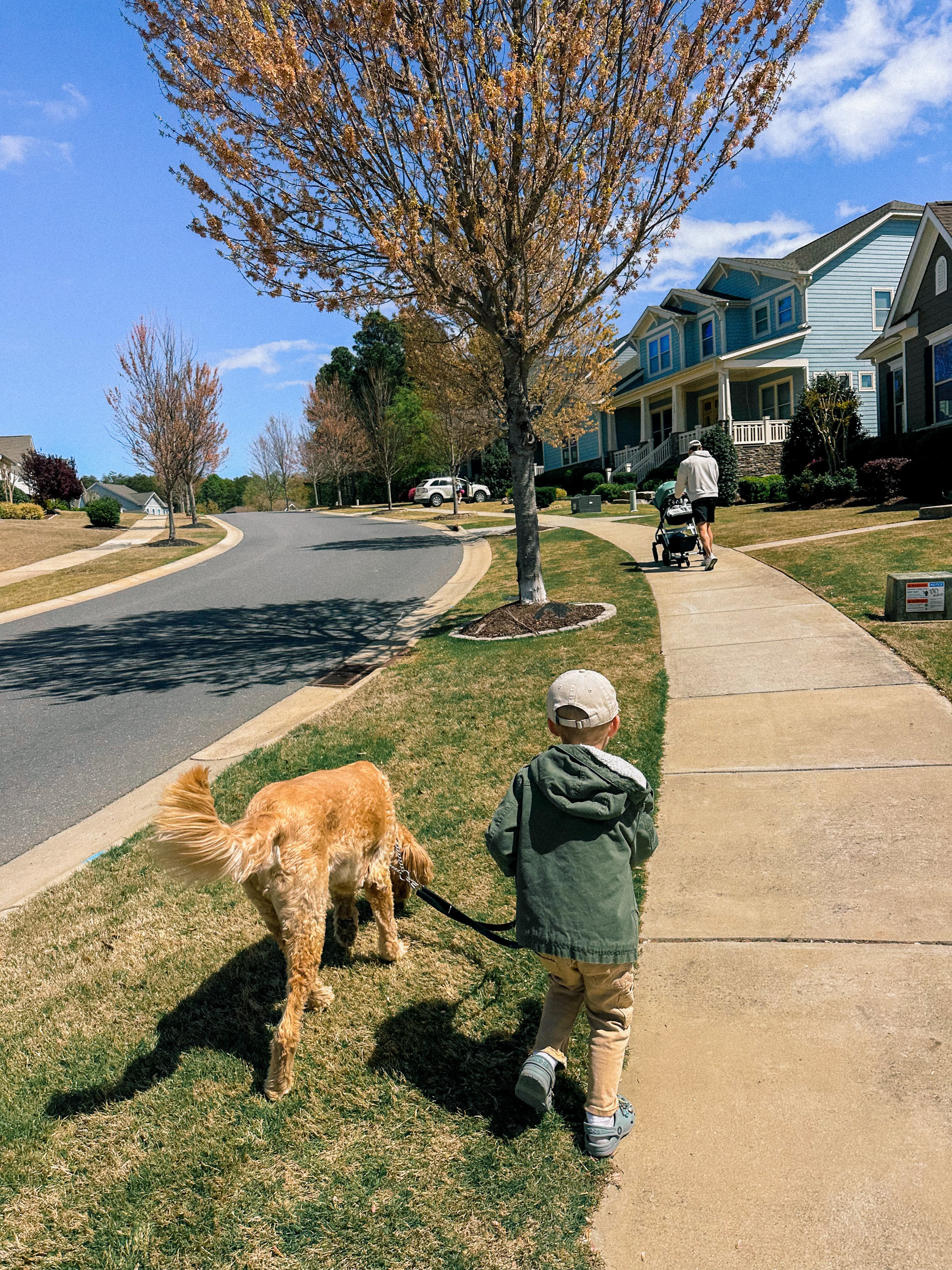 weekly recap, motherhood blog, lifestyle, charlotte, soccer mom, healthy food, lifestyle, dinner for family, postpartum, newborn, boy mom, fort mill, easter, bush n vine, york, anne springs, spring break, motherhood lifestyle blogger, carowinds, healthy dinner ideas, chalk, boy mom, walking, life with toddlers, church, home, baking, gardening, rock hill, spring, coffee, parks