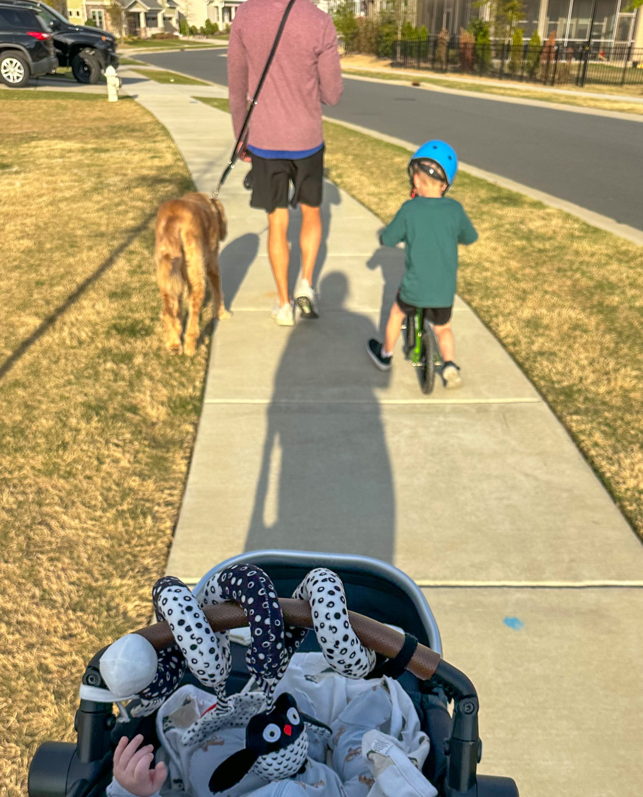 weekly recap, motherhood blog, lifestyle, charlotte, soccer mom, healthy food, lifestyle, dinner for family, postpartum, newborn, boy mom, fort mill, easter, bush n vine, york, anne springs, spring break, motherhood lifestyle blogger, carowinds, healthy dinner ideas, chalk, boy mom, walking, life with toddlers, church, home, baking, gardening, rock hill, spring, coffee, parks