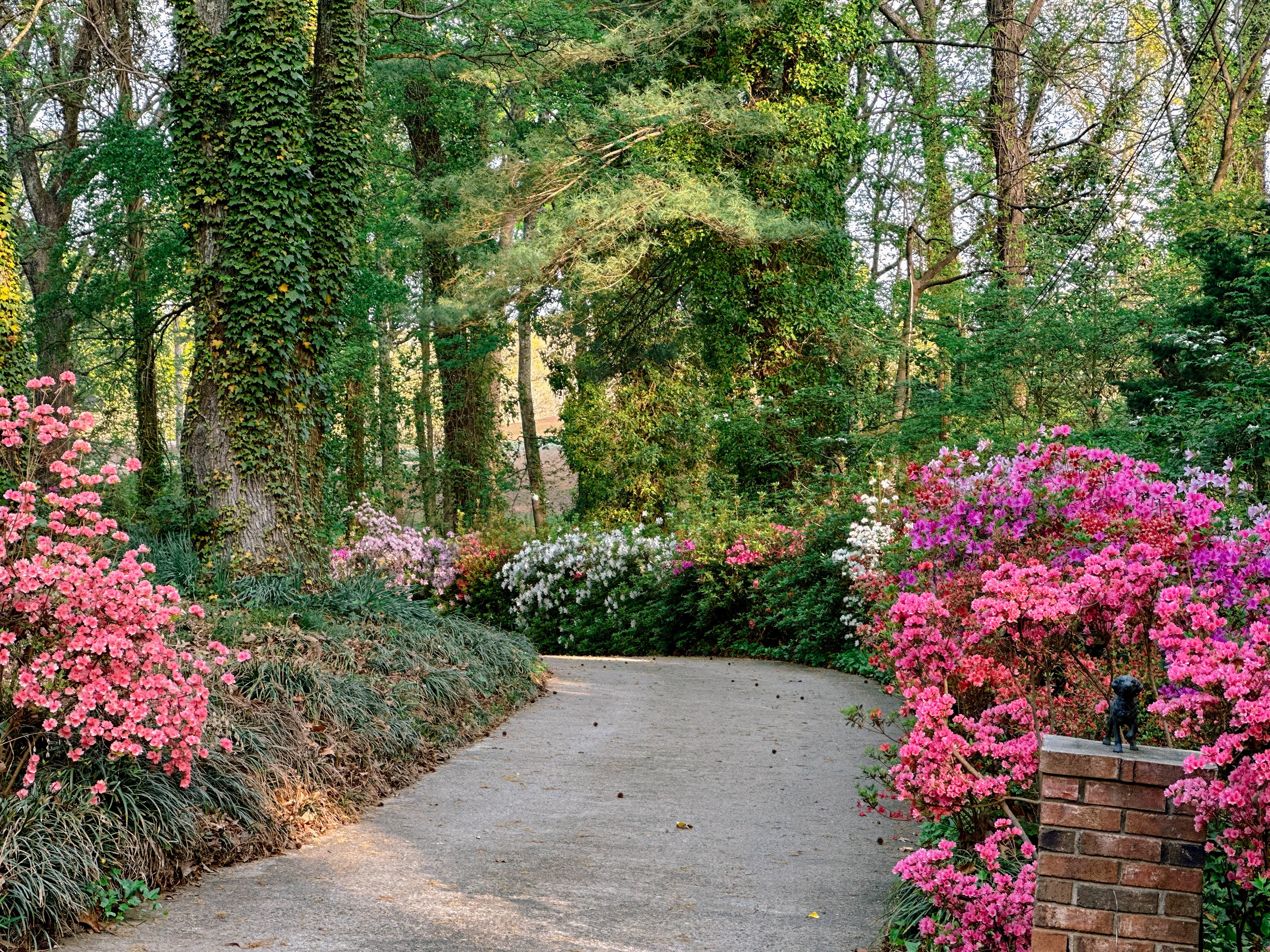 weekly recap, motherhood blog, lifestyle, charlotte, soccer mom, healthy food, lifestyle, dinner for family, postpartum, newborn, boy mom, fort mill, easter, bush n vine, york, anne springs, spring break, motherhood lifestyle blogger, carowinds, healthy dinner ideas, chalk, boy mom, walking, life with toddlers, church, home, baking, gardening, rock hill, spring, coffee, parks