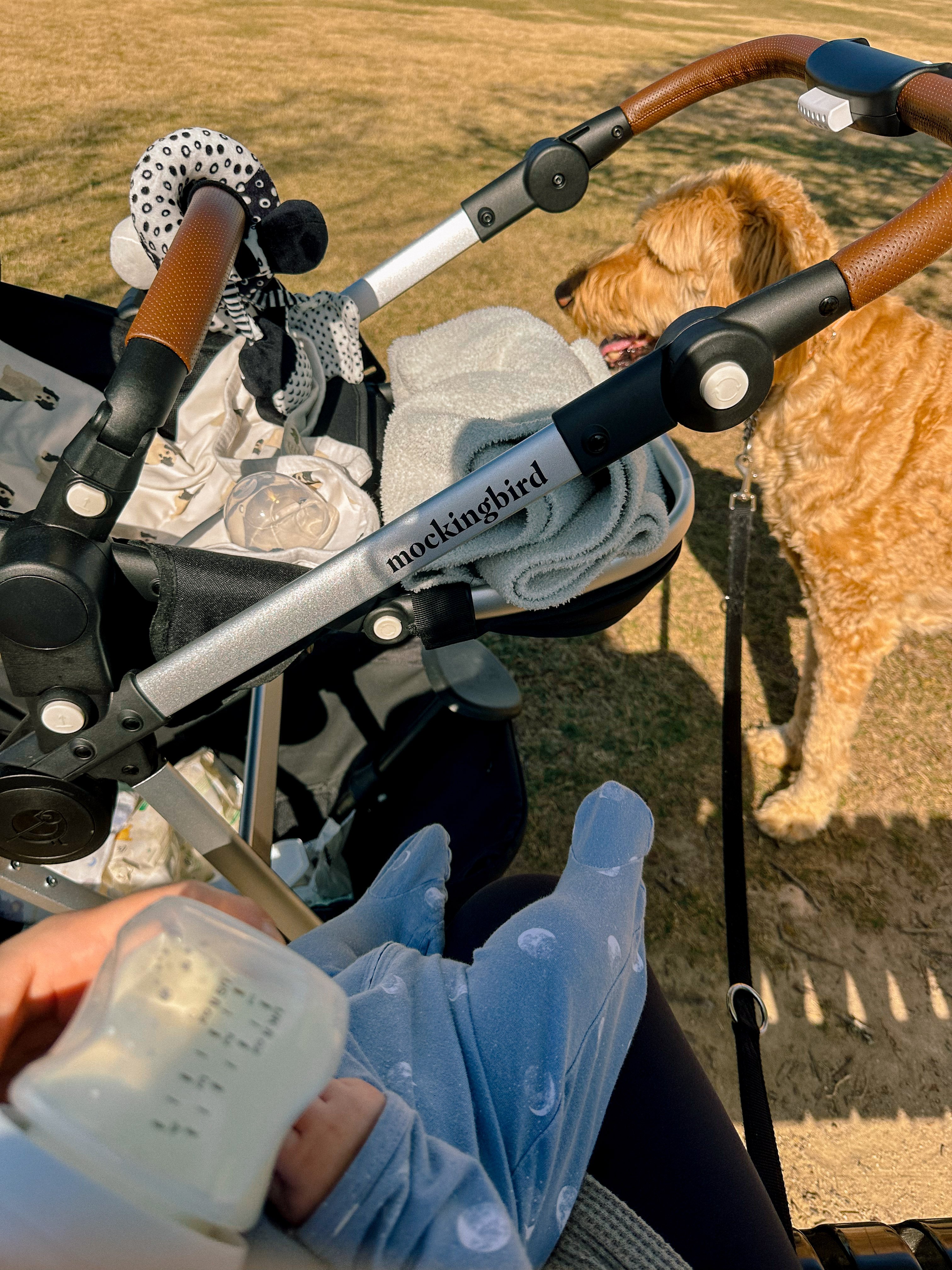 weekly recap, motherhood blog, lifestyle, charlotte, soccer mom, healthy food, lifestyle, dinner for family, postpartum, newborn, boy mom, fort mill, easter, bush n vine, york, anne springs, spring break, motherhood lifestyle blogger, carowinds, healthy dinner ideas, chalk, boy mom, walking, life with toddlers, church, home, baking, gardening, rock hill, spring, coffee, parks