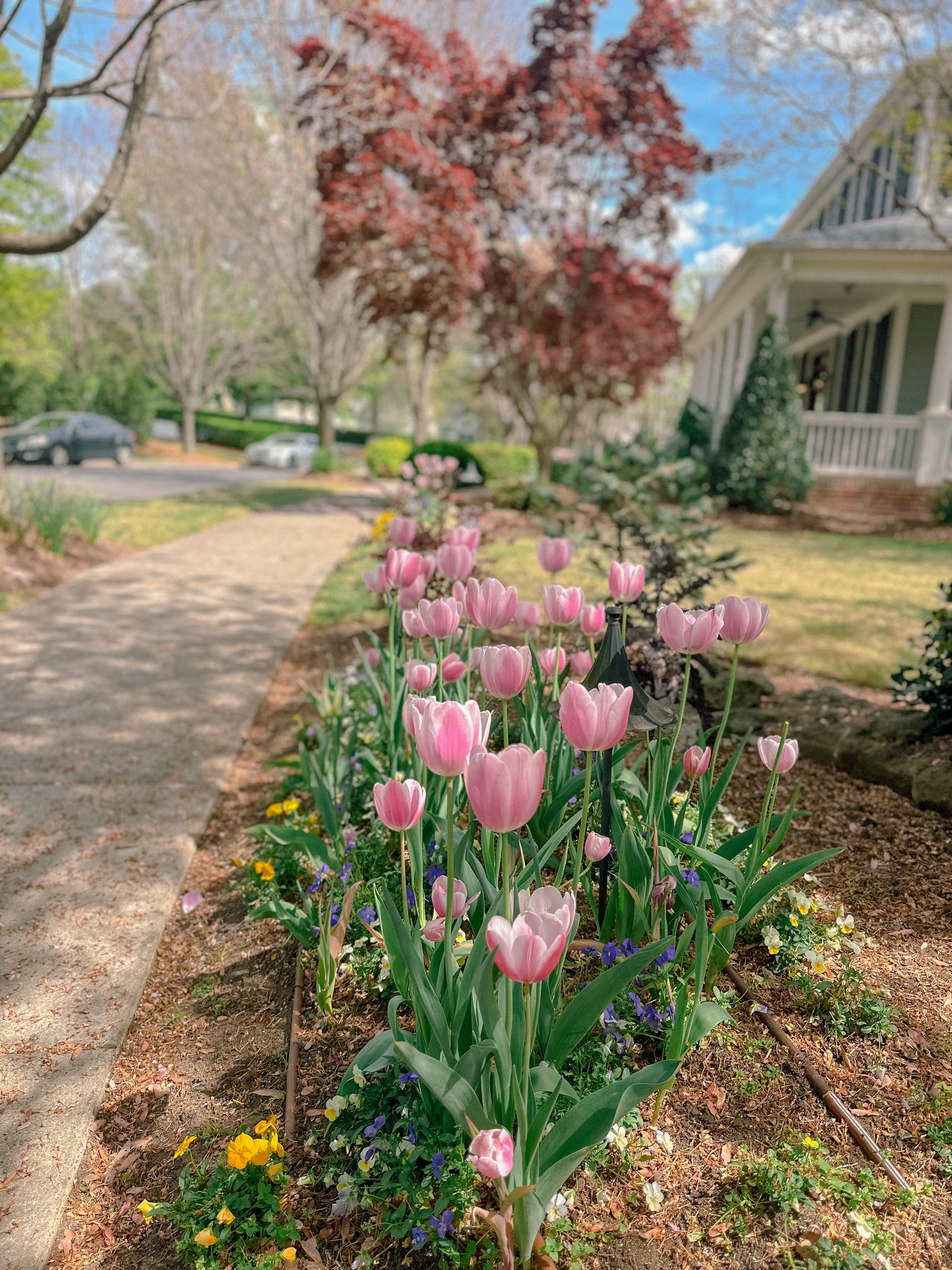 weekly recap, motherhood blog, lifestyle, charlotte, soccer mom, healthy food, lifestyle, dinner for family, postpartum, newborn, boy mom, fort mill, easter, bush n vine, york, anne springs, spring break, motherhood lifestyle blogger, carowinds, healthy dinner ideas, chalk, boy mom, walking, life with toddlers, church, home, baking, gardening, rock hill, spring, coffee, parks