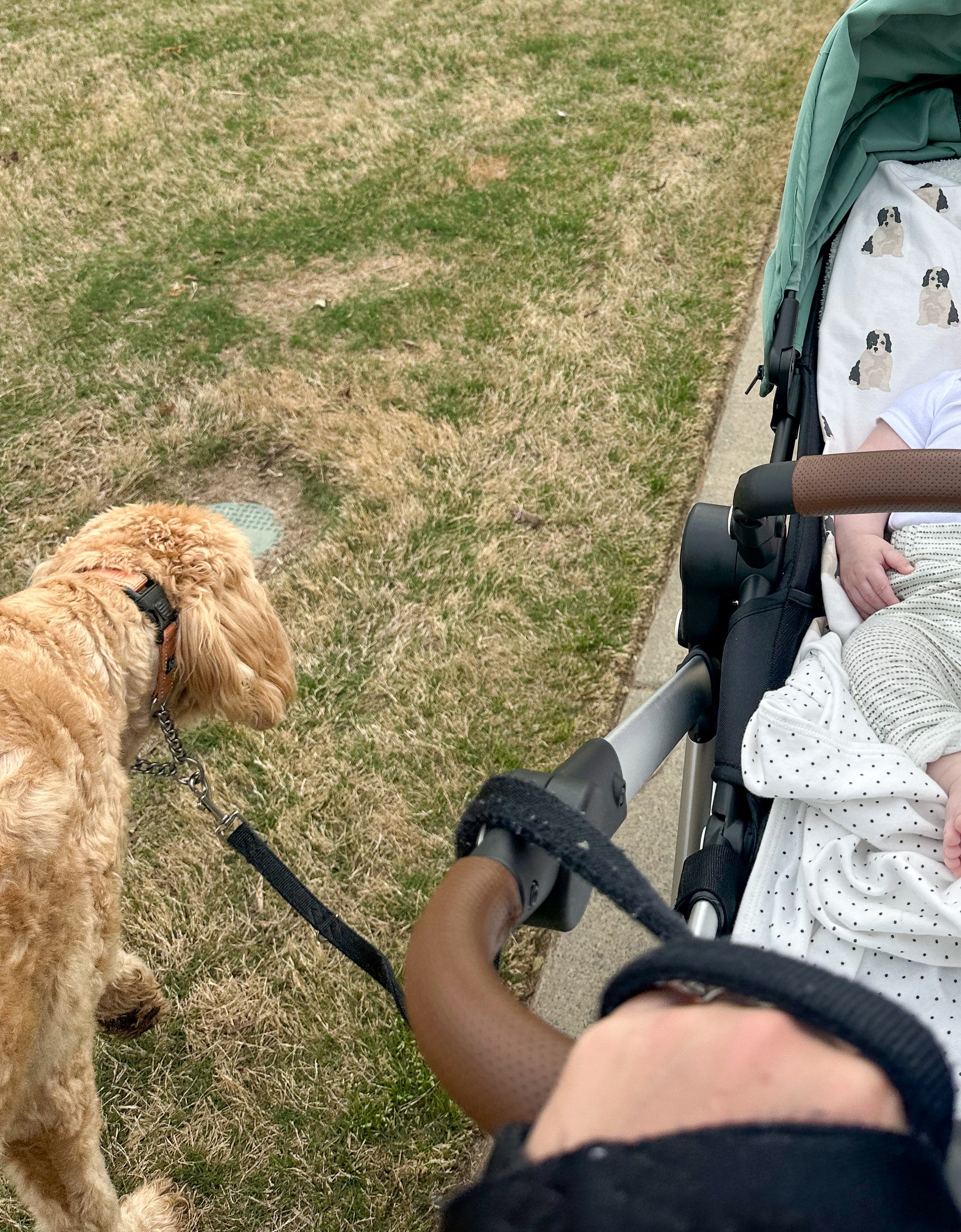 weekly recap, motherhood blog, lifestyle, charlotte, soccer mom, healthy food, lifestyle, dinner for family, postpartum, newborn, boy mom, fort mill, easter, bush n vine, york, anne springs, spring break, motherhood lifestyle blogger, carowinds, healthy dinner ideas, chalk, boy mom, walking, life with toddlers, church, home, baking, gardening, rock hill, spring, coffee, parks