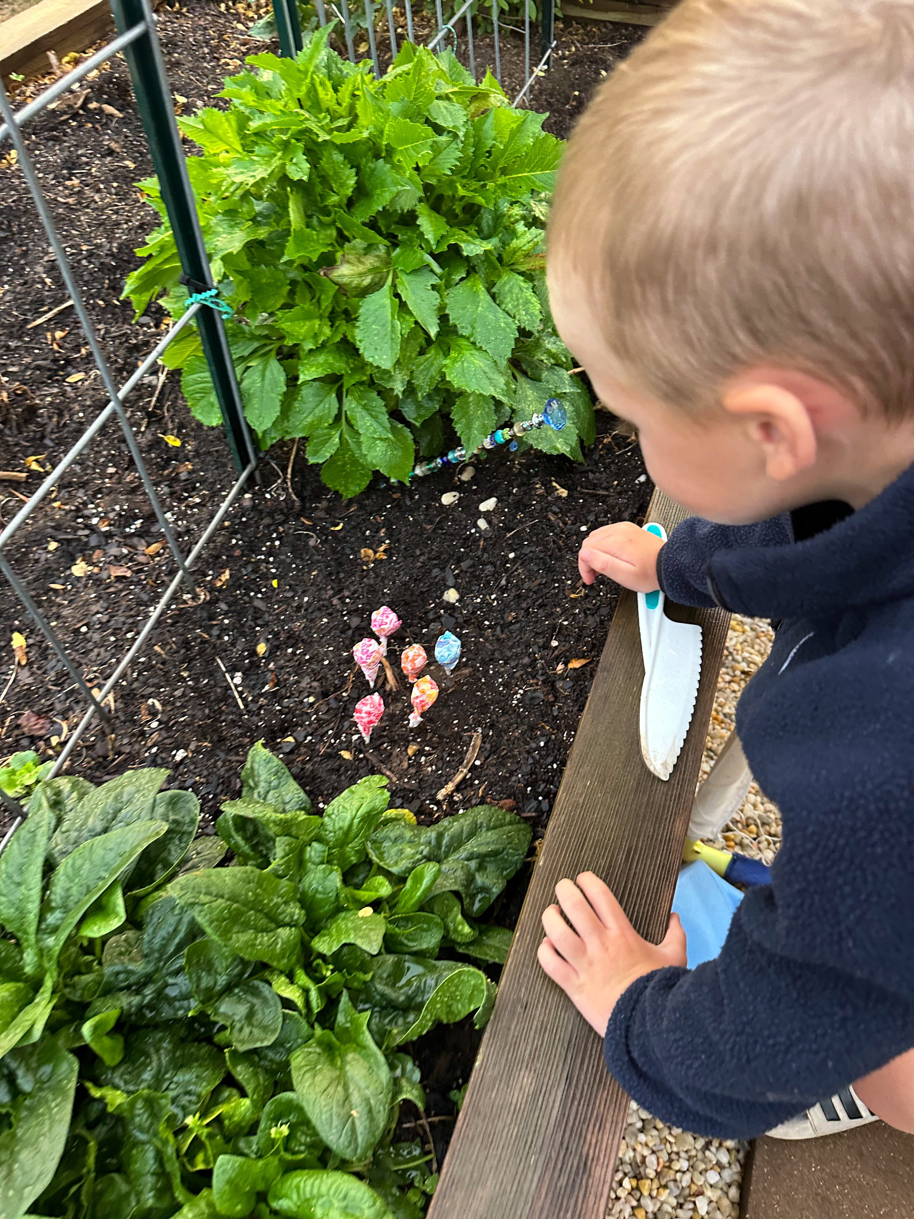 weekly recap, motherhood blog, lifestyle, charlotte, soccer mom, healthy food, lifestyle, dinner for family, postpartum, newborn, boy mom, fort mill, easter, bush n vine, york, anne springs, spring break, motherhood lifestyle blogger, carowinds, healthy dinner ideas, chalk, boy mom, walking, life with toddlers, church, home, baking, gardening, rock hill, spring, coffee, parks