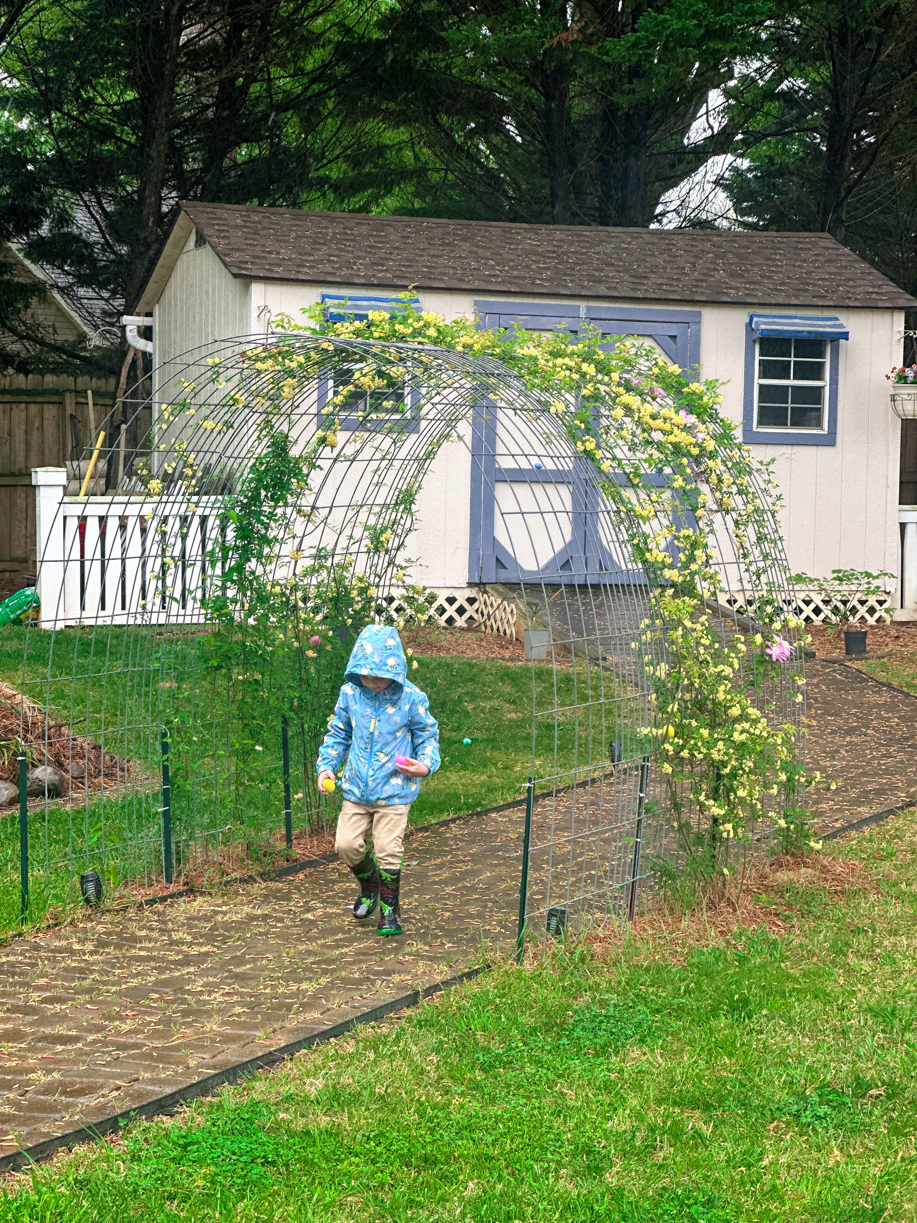 weekly recap, motherhood blog, lifestyle, charlotte, soccer mom, healthy food, lifestyle, dinner for family, postpartum, newborn, boy mom, fort mill, easter, bush n vine, york, anne springs, spring break, motherhood lifestyle blogger, carowinds, healthy dinner ideas, chalk, boy mom, walking, life with toddlers, church, home, baking, gardening, rock hill, spring, coffee, parks