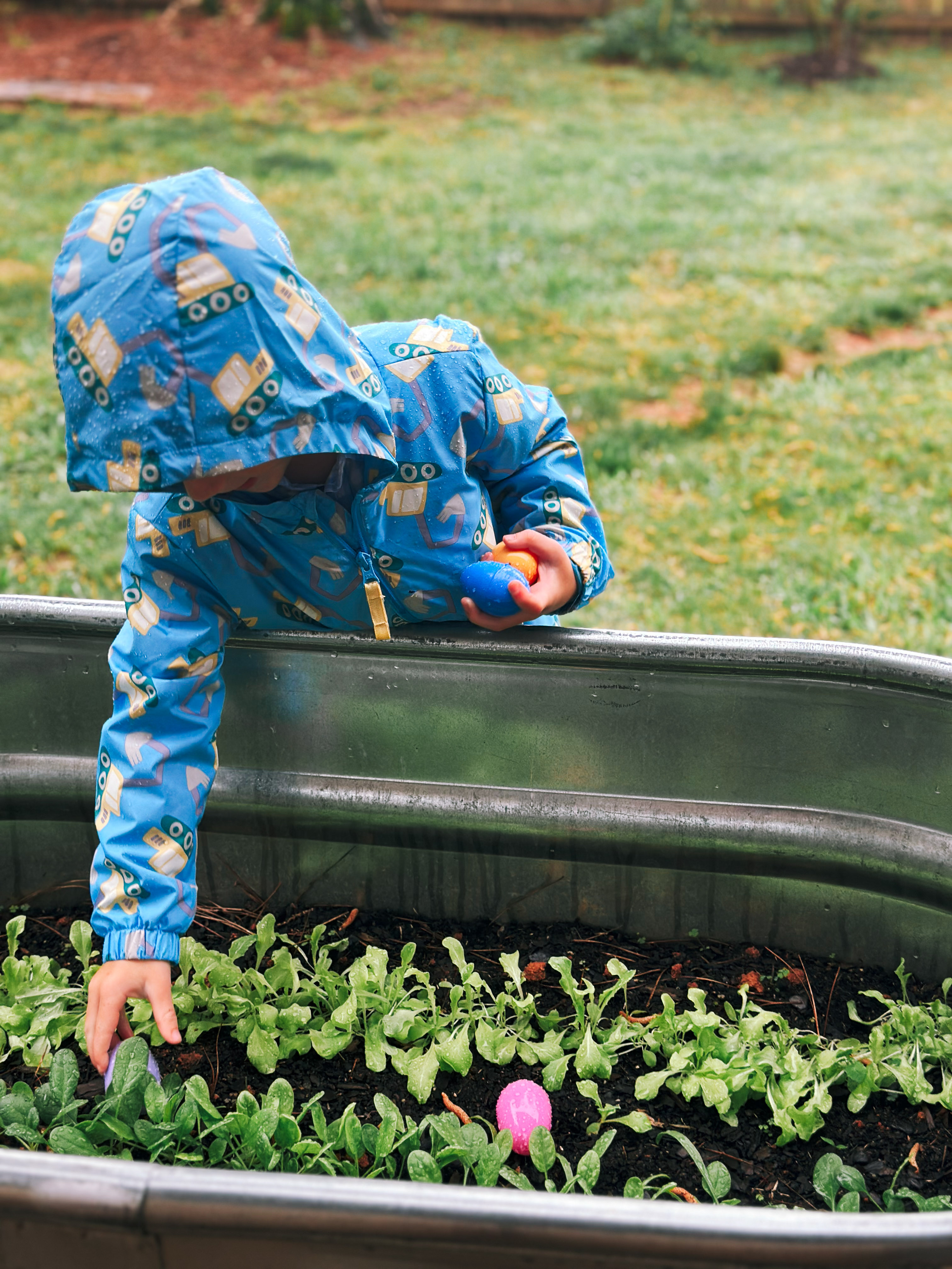 weekly recap, motherhood blog, lifestyle, charlotte, soccer mom, healthy food, lifestyle, dinner for family, postpartum, newborn, boy mom, fort mill, easter, bush n vine, york, anne springs, spring break, motherhood lifestyle blogger, carowinds, healthy dinner ideas, chalk, boy mom, walking, life with toddlers, church, home, baking, gardening, rock hill, spring, coffee, parks