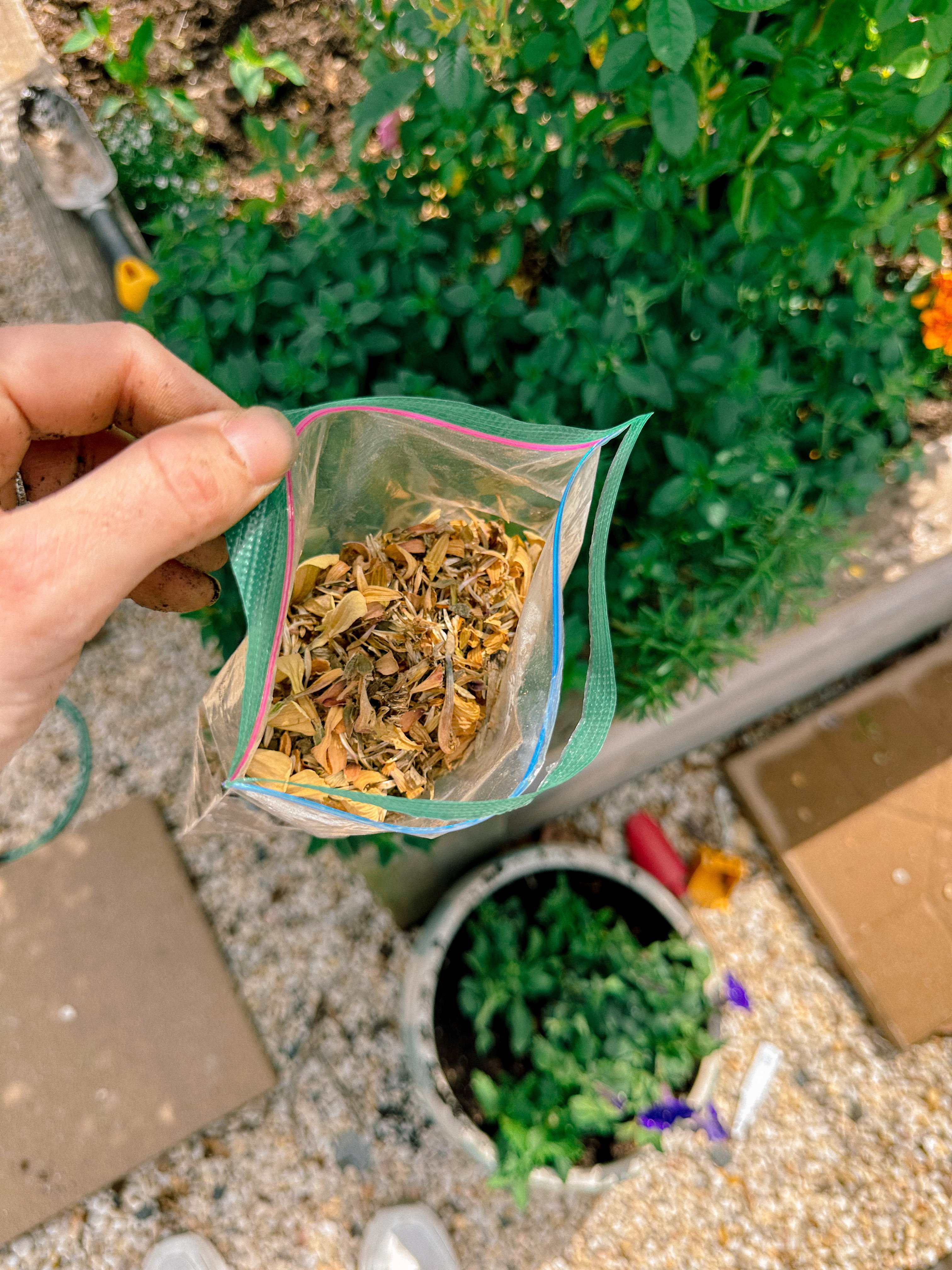 weekly recap, motherhood blog, lifestyle, charlotte, soccer mom, healthy food, lifestyle, dinner for family, postpartum, newborn, boy mom, fort mill, easter, bush n vine, york, anne springs, spring break, motherhood lifestyle blogger, carowinds, healthy dinner ideas, chalk, boy mom, walking, life with toddlers, church, home, baking, gardening, rock hill, spring, coffee, parks