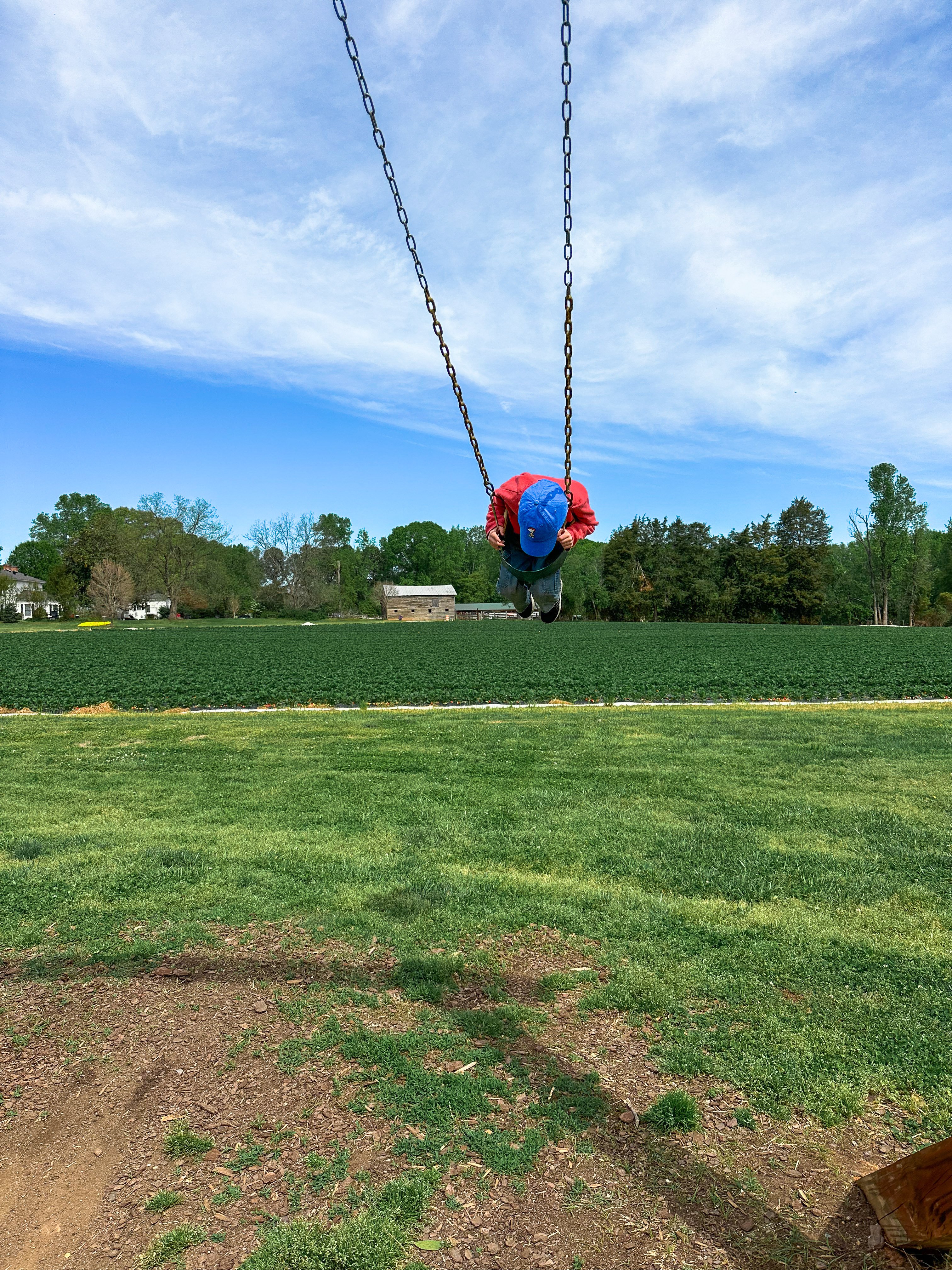 weekly recap, motherhood blog, lifestyle, charlotte, soccer mom, healthy food, lifestyle, dinner for family, postpartum, newborn, boy mom, fort mill, easter, bush n vine, york, anne springs, spring break, motherhood lifestyle blogger, carowinds, healthy dinner ideas, chalk, boy mom, walking, life with toddlers, church, home, baking, gardening, rock hill, spring, coffee, parks