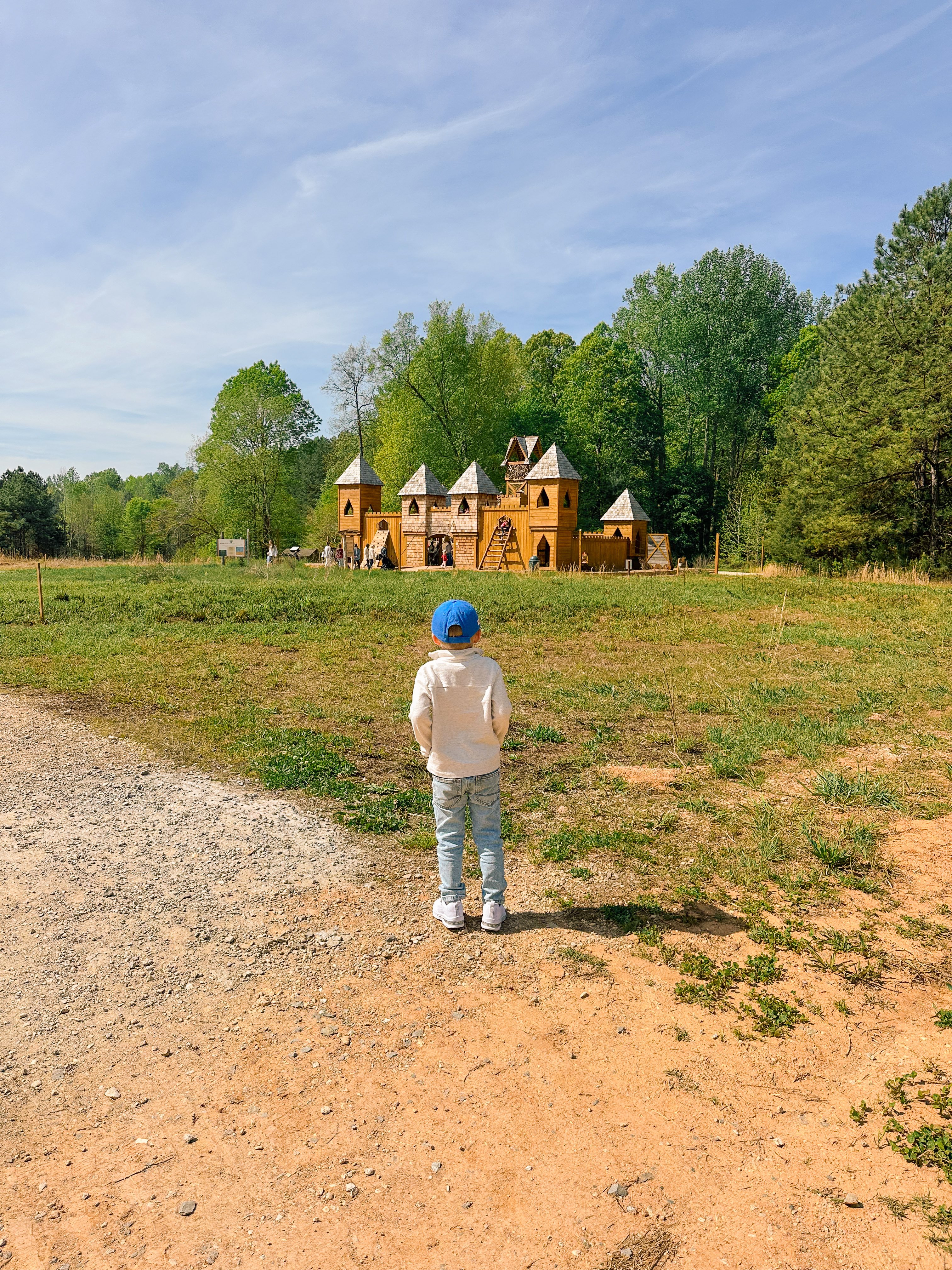 weekly recap, motherhood blog, lifestyle, charlotte, soccer mom, healthy food, lifestyle, dinner for family, postpartum, newborn, boy mom, fort mill, easter, bush n vine, york, anne springs, spring break, motherhood lifestyle blogger, carowinds, healthy dinner ideas, chalk, boy mom, walking, life with toddlers, church, home, baking, gardening, rock hill, spring, coffee, parks